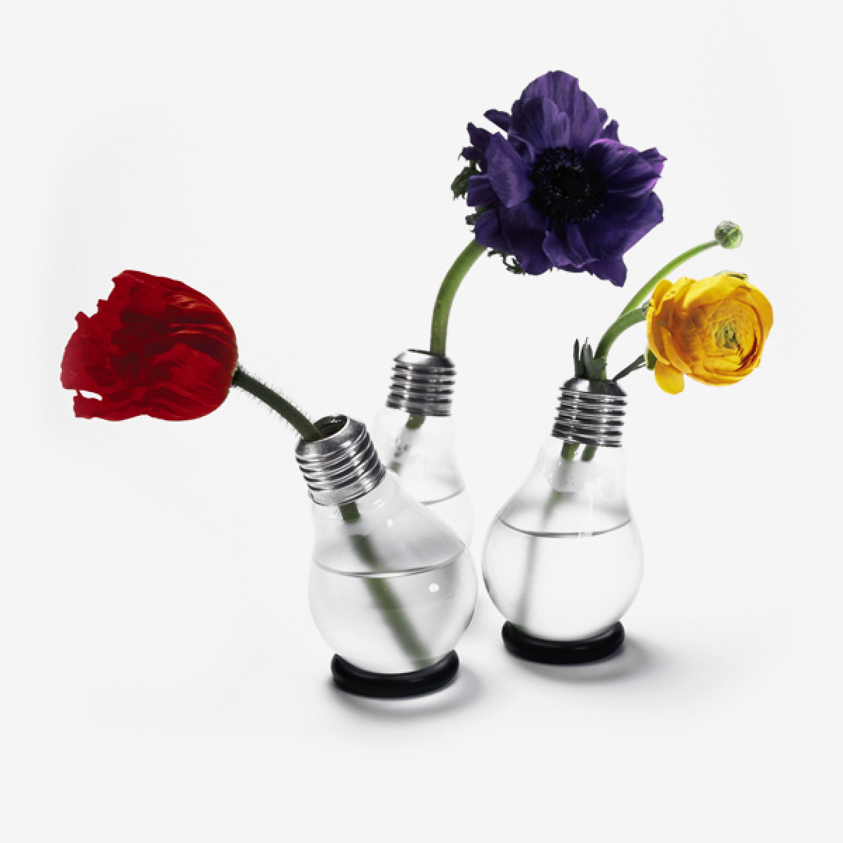 Die Blühbirne Vase (3er-Set)
