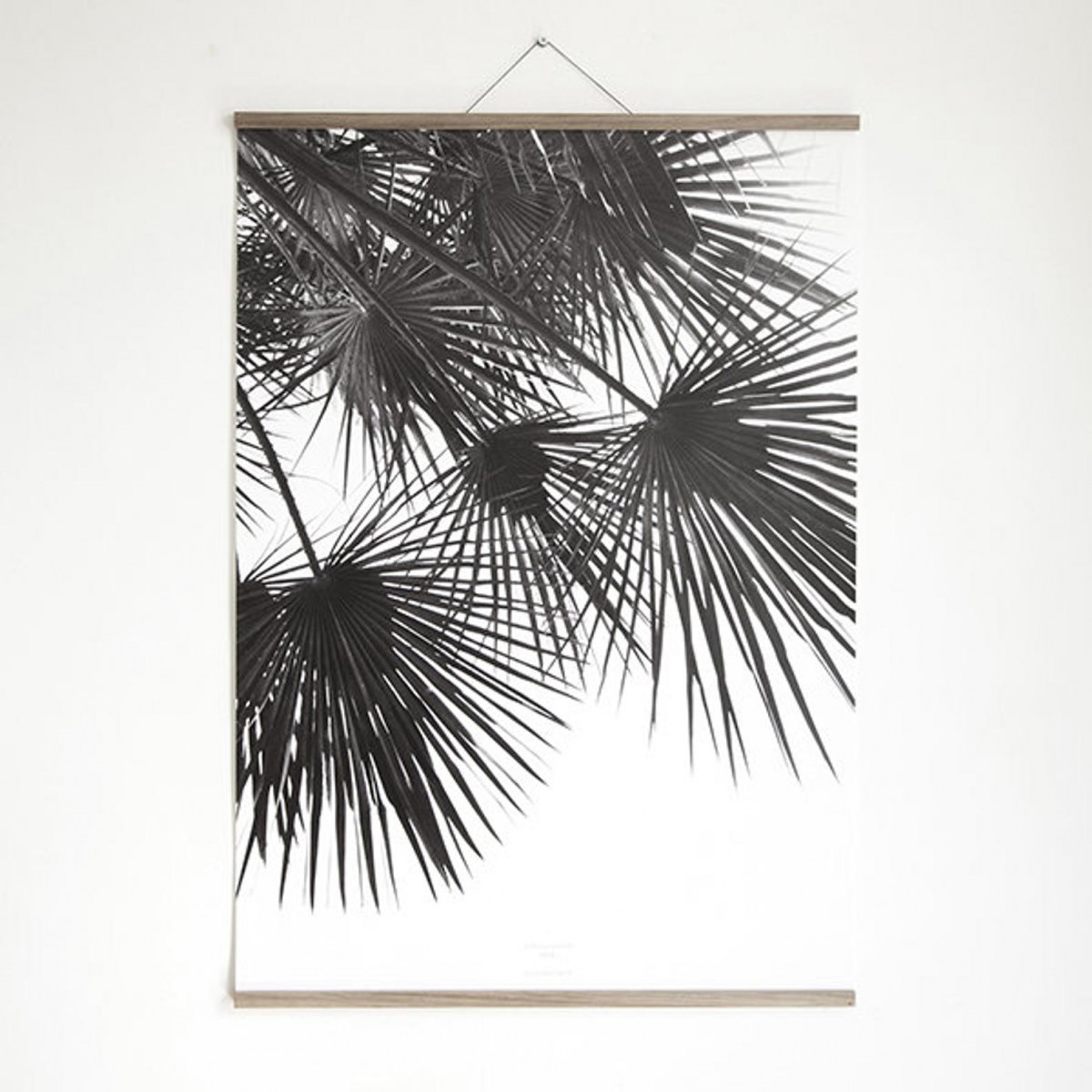 nahili ARTPRINT / POSTER "endless summer WIND" Palmen Artprint (DIN A1/A2/A3 & 50x70cm)