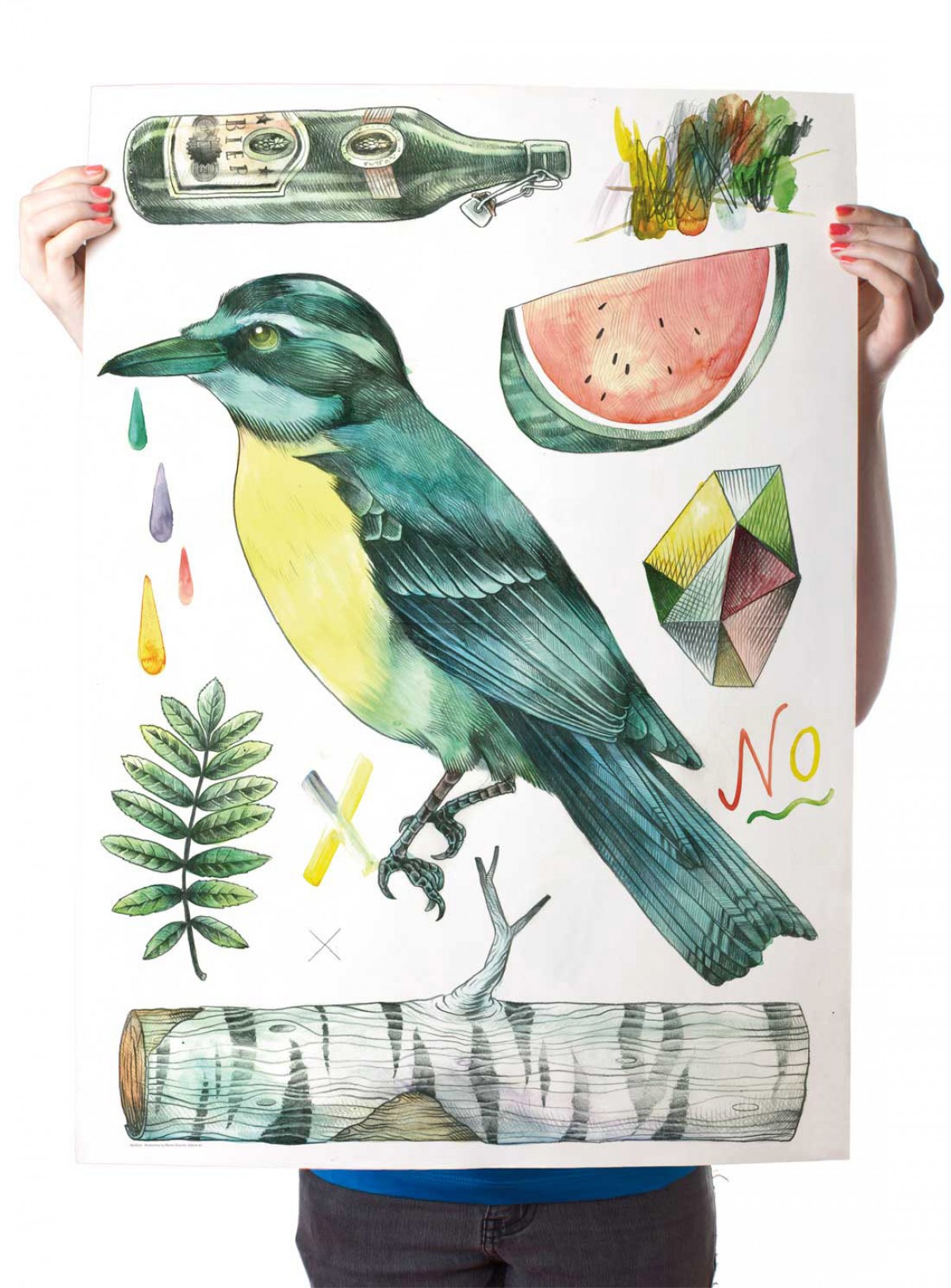 Martin Krusche – Poster »Kolibri« 50x70cm, Illustration