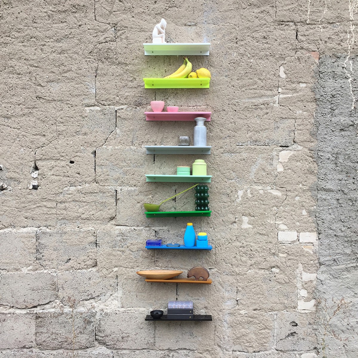 kolor z regal