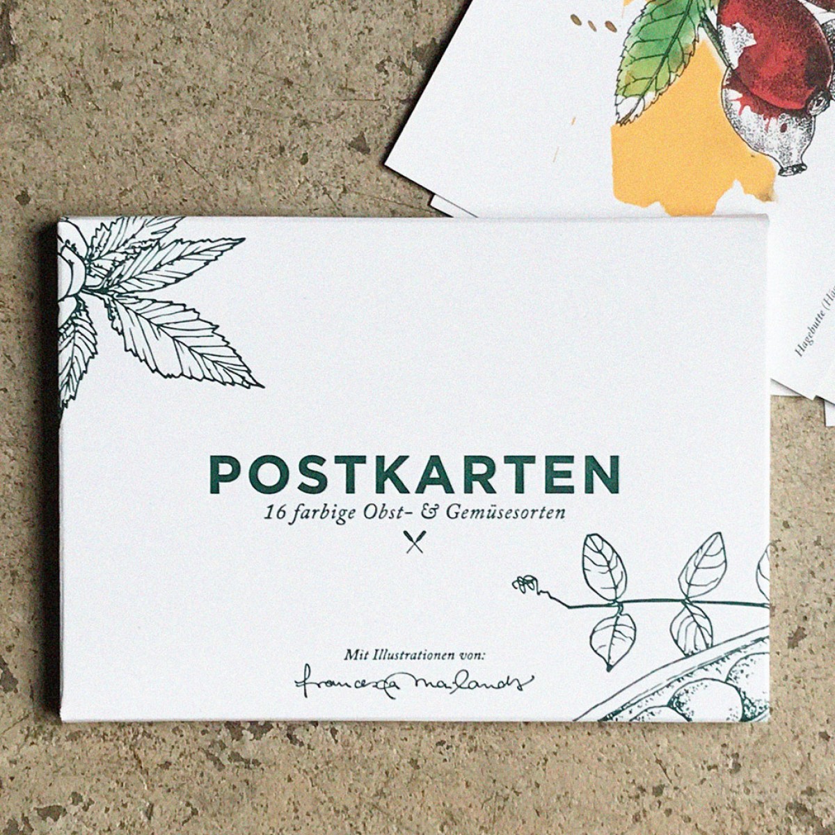 Postkartenset von 16 Obst und Gemüsesorten: Obst und Gemüse Geschenkkarten