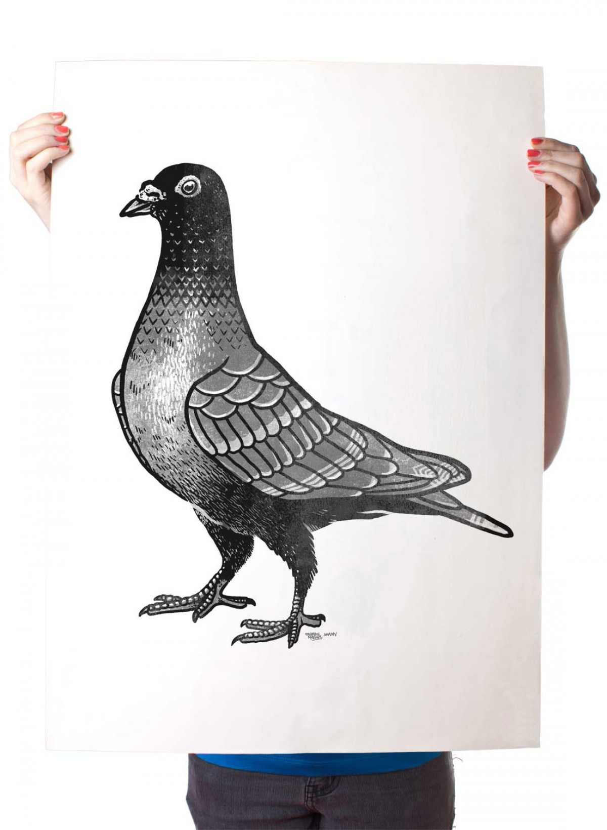 Martin Krusche – Poster »La Paloma« 50x70cm oder DINA3, Illustration