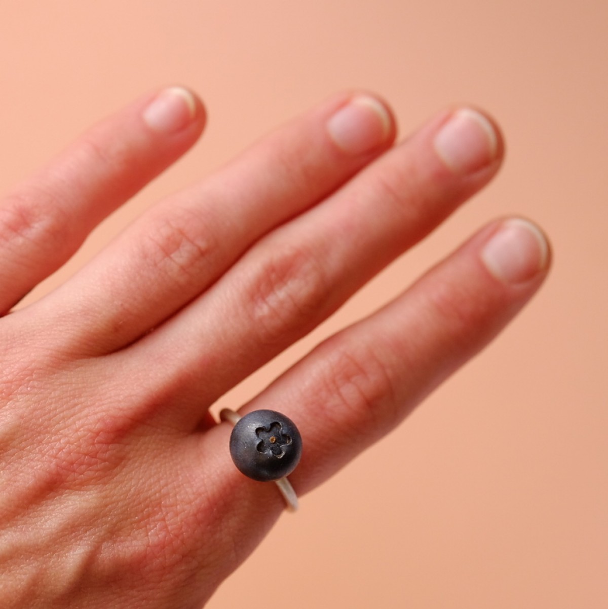 minischmidt miniGARTEN Blaubeere Ring