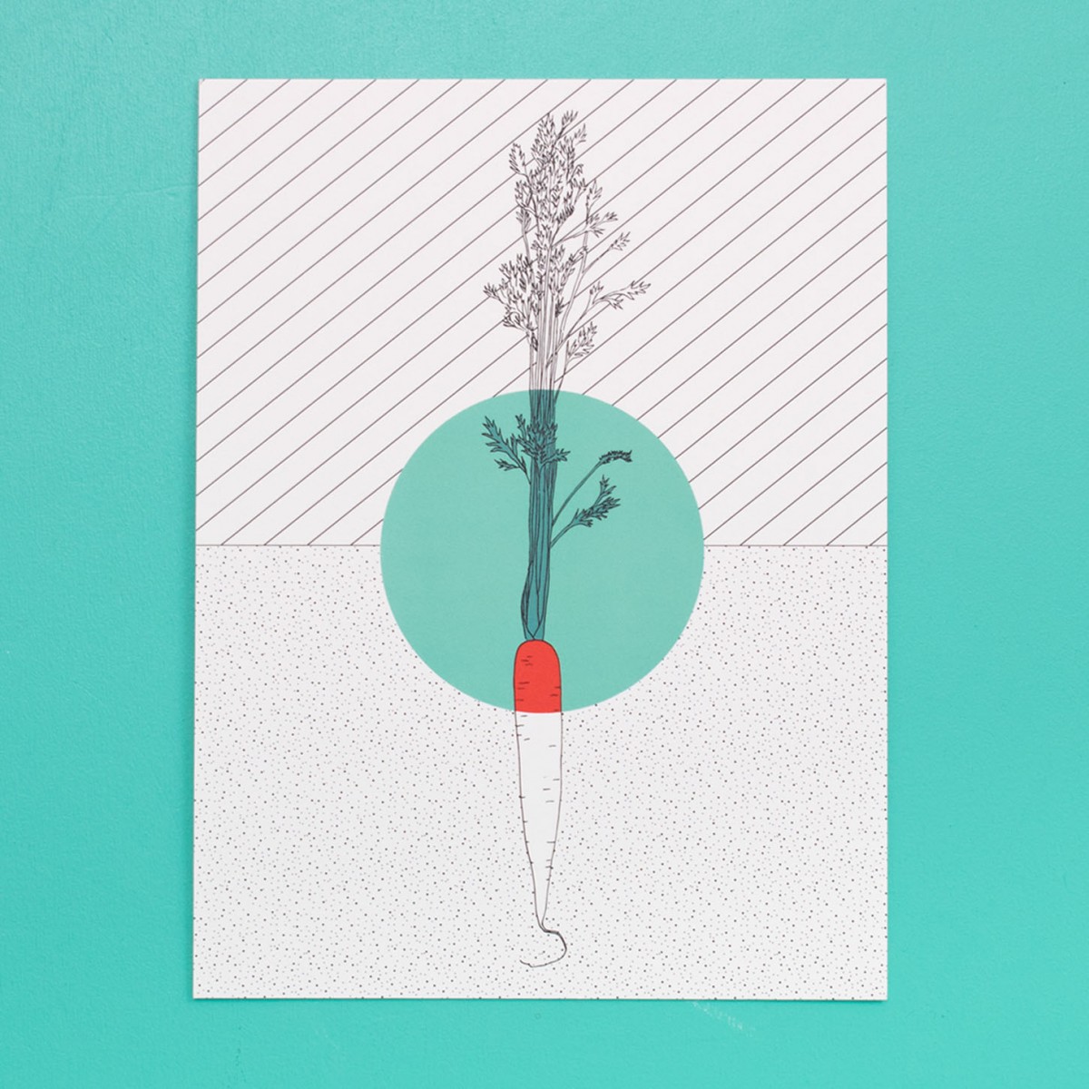 polypodium / Print - Möhre - 15 cm x 20 cm - A5