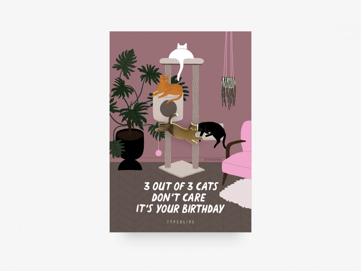 typealive / Pin / 3 Cats Birthday