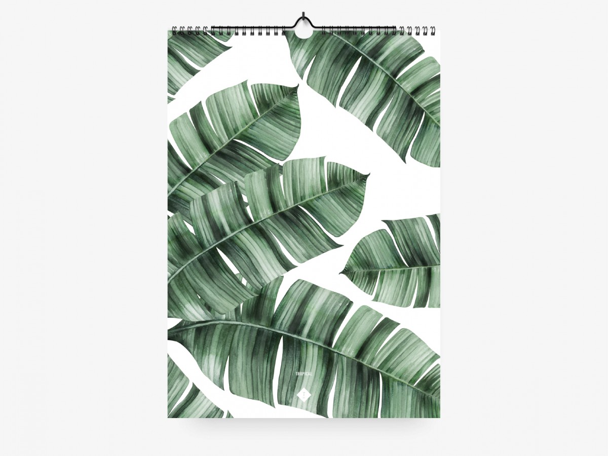 typealive / Wandkalender / Tropical