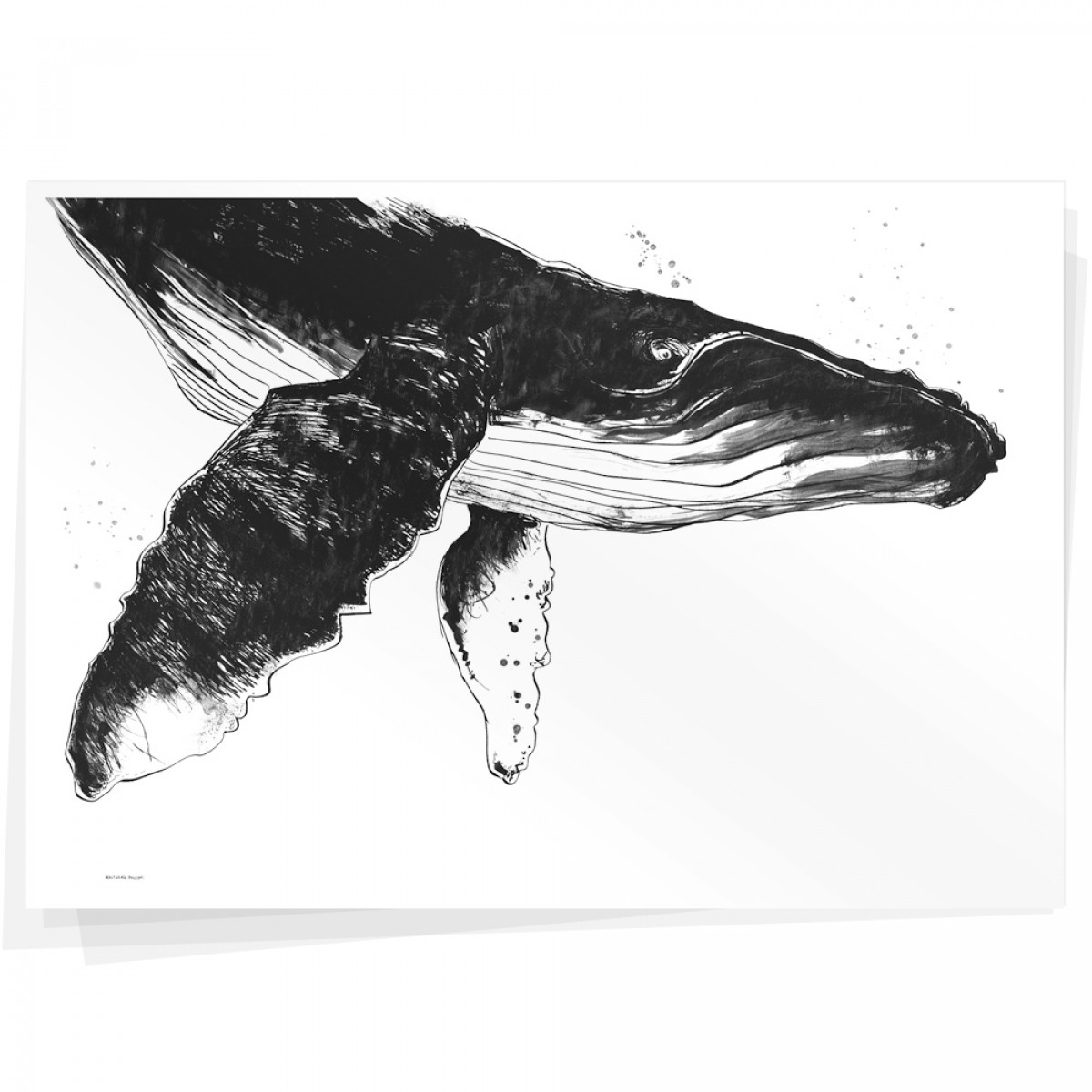 Wolfgang Philippi WAL PLAKAT 100x70 cm