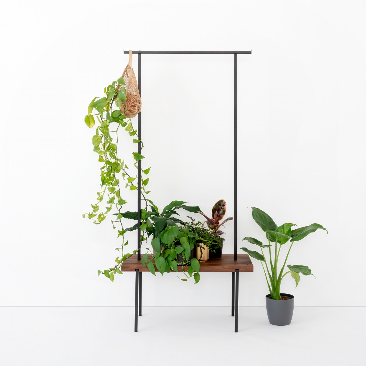 weld & co Garderobe Nussbaum 01 - in schwarz oder weiß