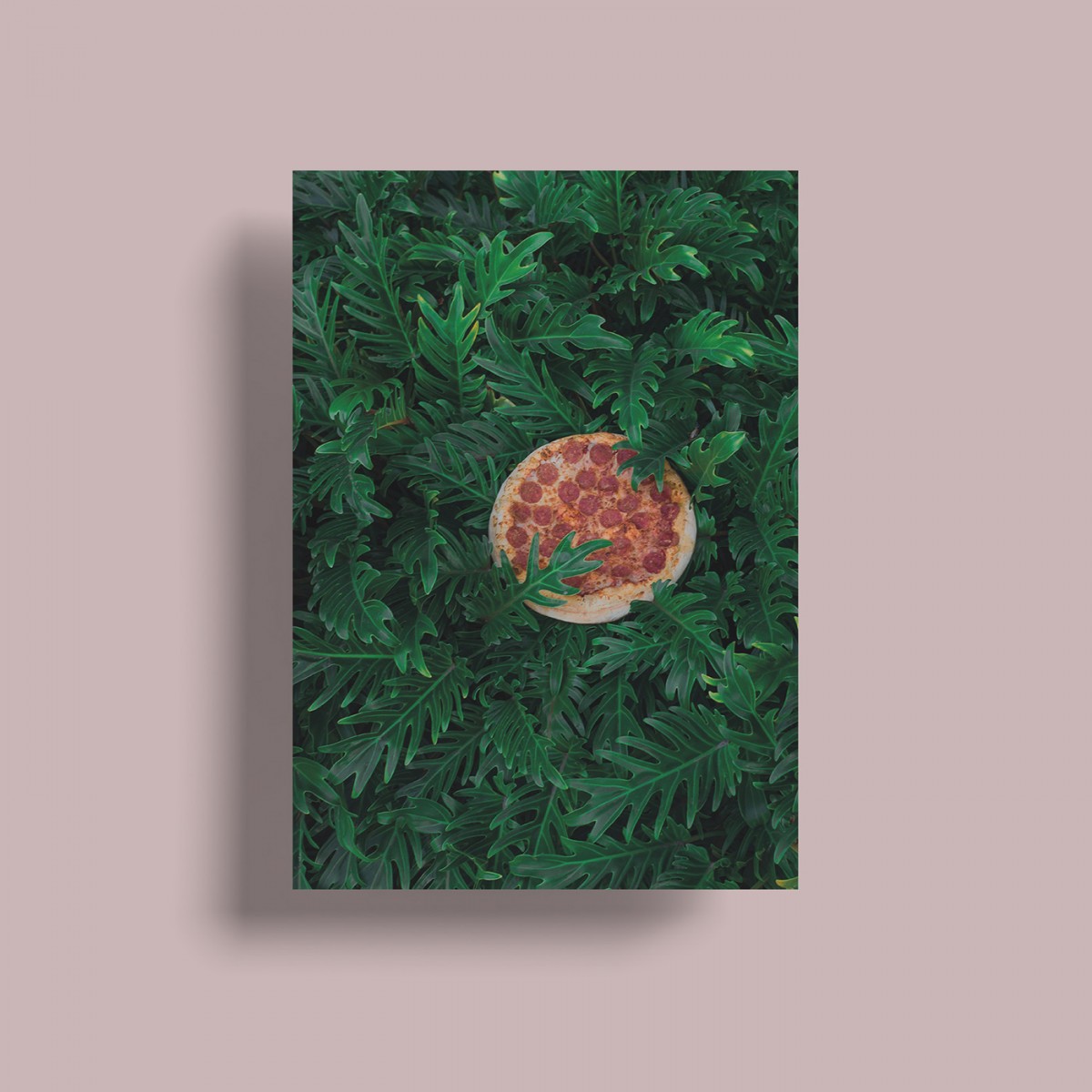 "Pizza in the Wild" Postkarten Set