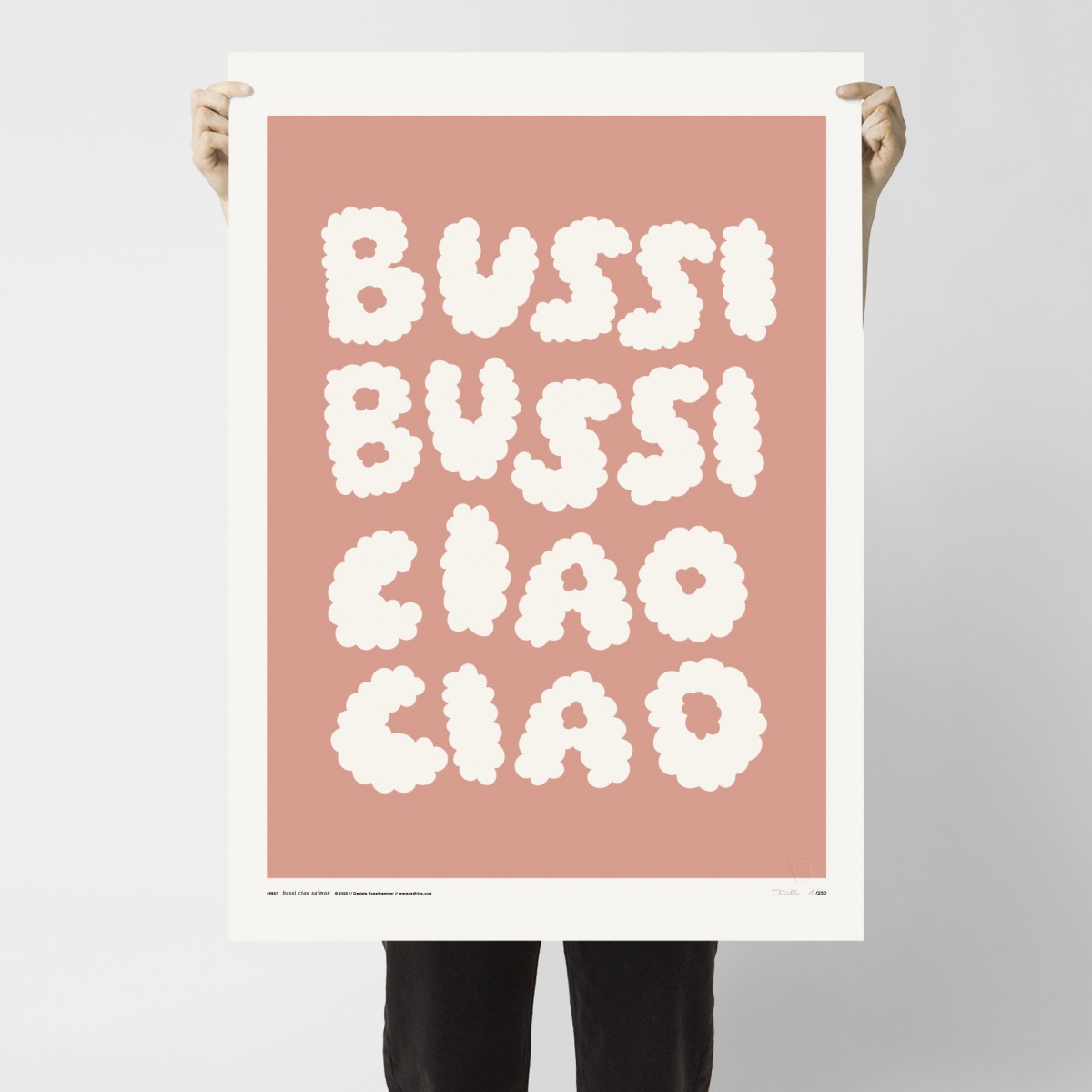 redfries bussi ciao salmon – Kunstdruck DIN B2