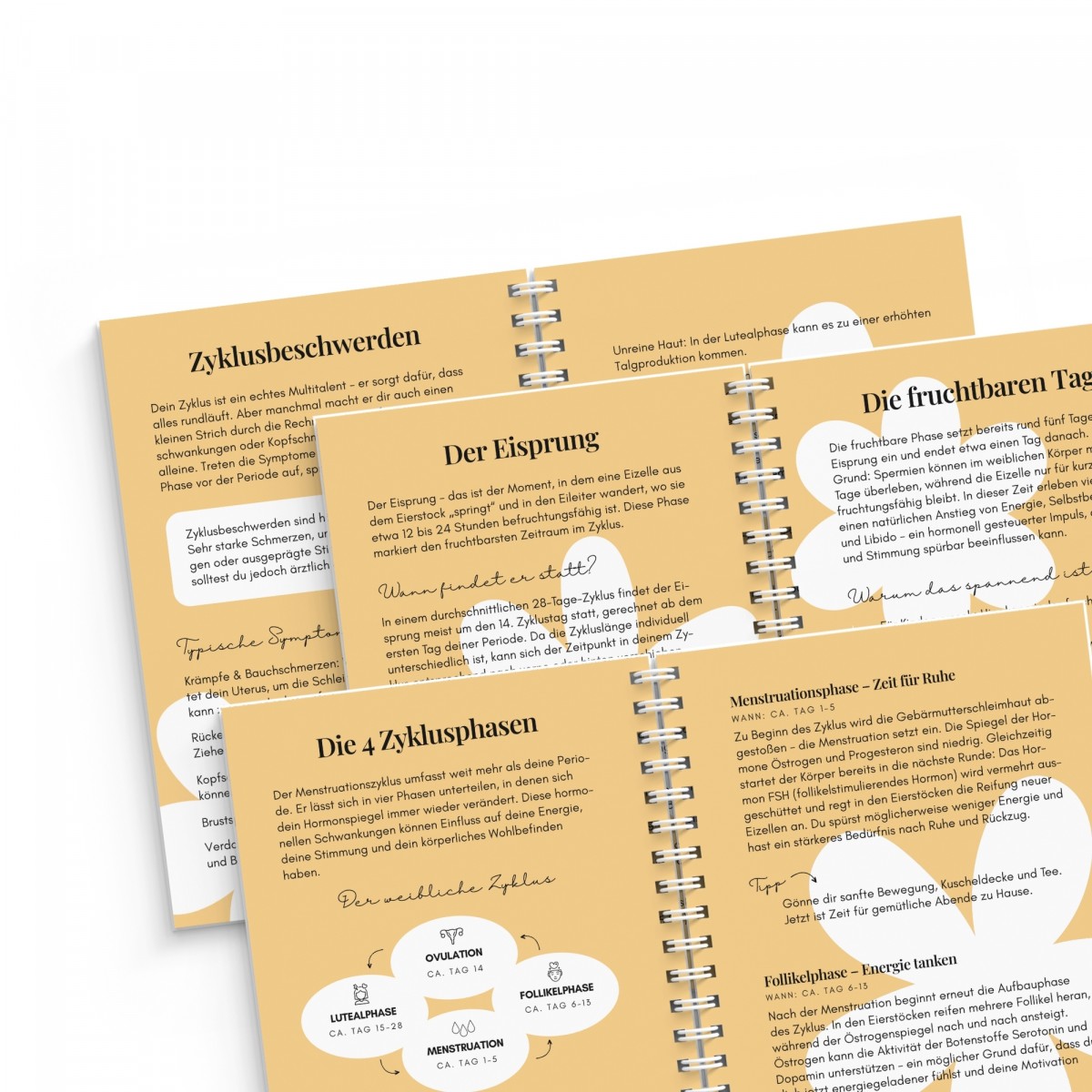 Zykluskalender – Zyklusplaner – Vorlage zum Ausfüllen – FINE FINE STUFF x memoboox