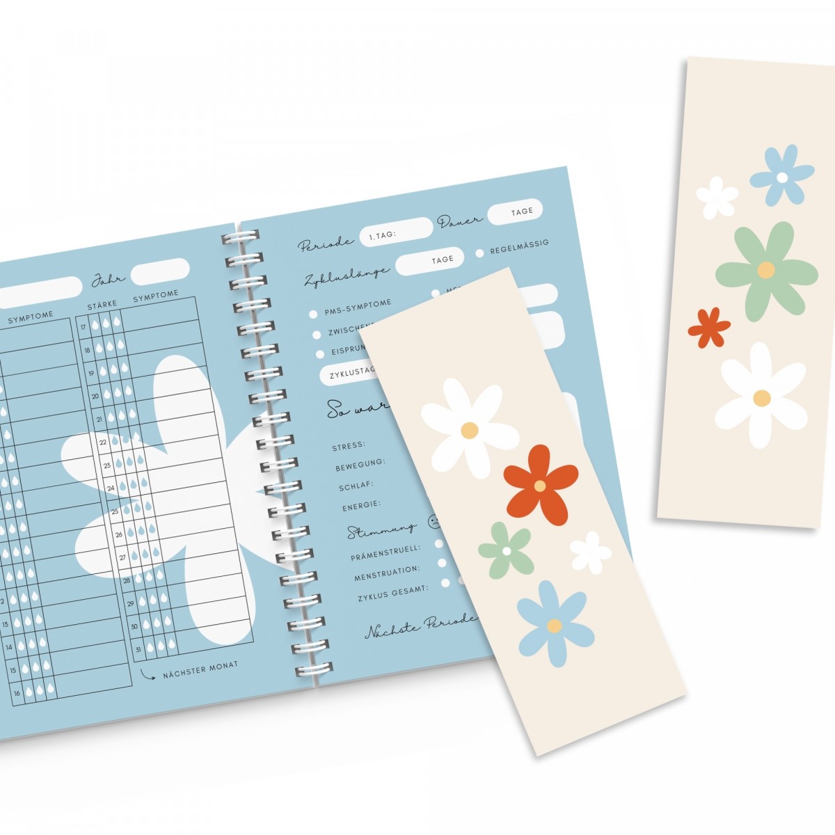 Zykluskalender – Zyklusplaner – Vorlage zum Ausfüllen – FINE FINE STUFF x memoboox