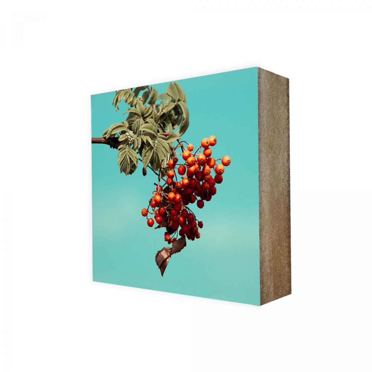 Stadtliebe® | Maritimes Cube-Bild „Sanddorn“