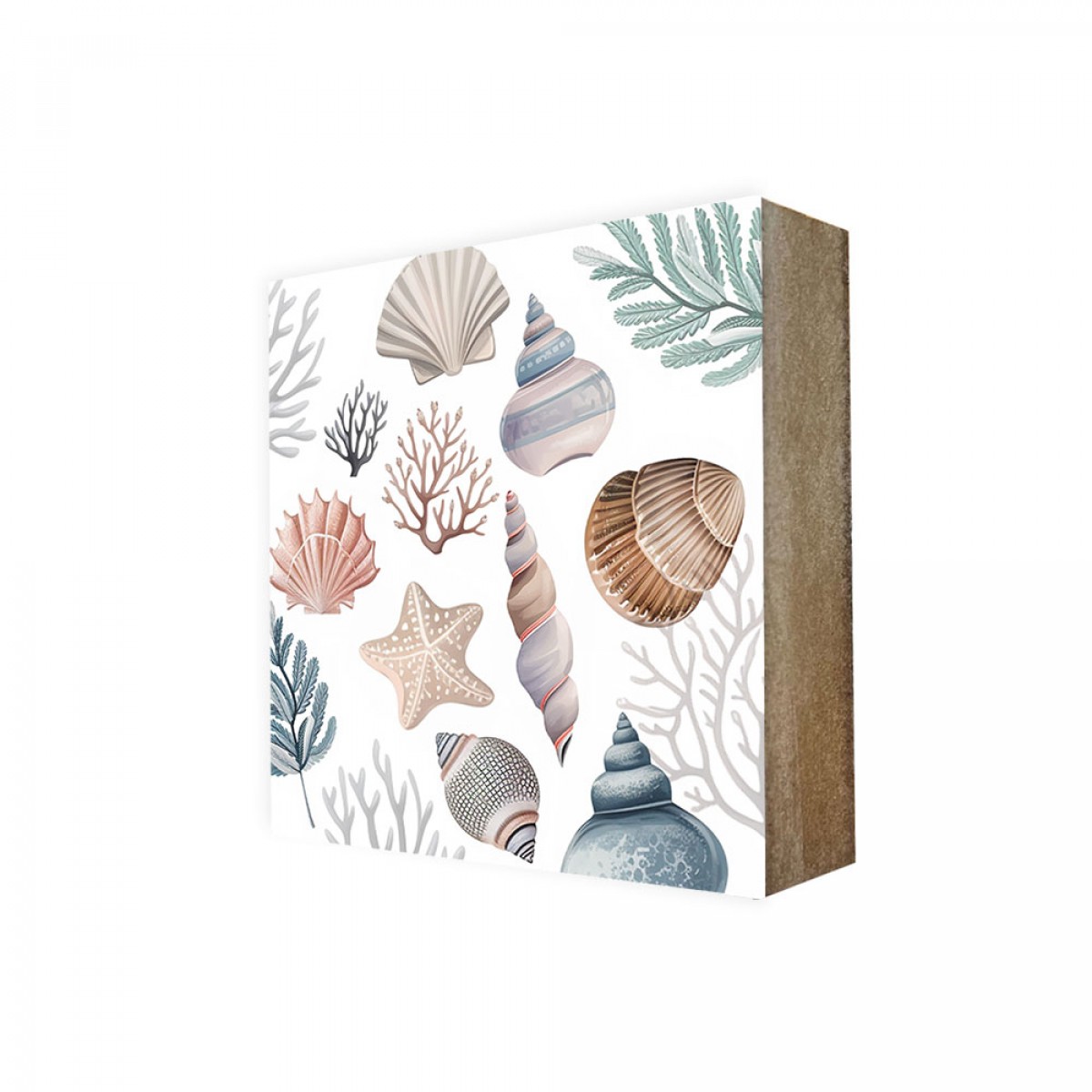 Stadtliebe® | Cube-Bild Sea-Linie „Muscheln“
