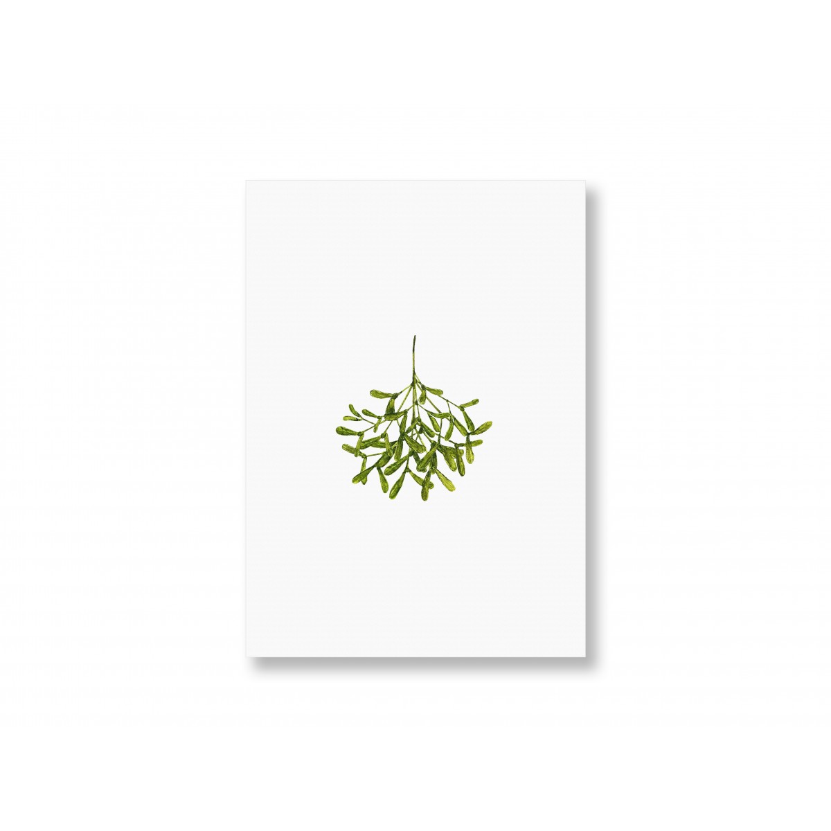 Postkarte Mistelzweig, 3er Set - SANS.