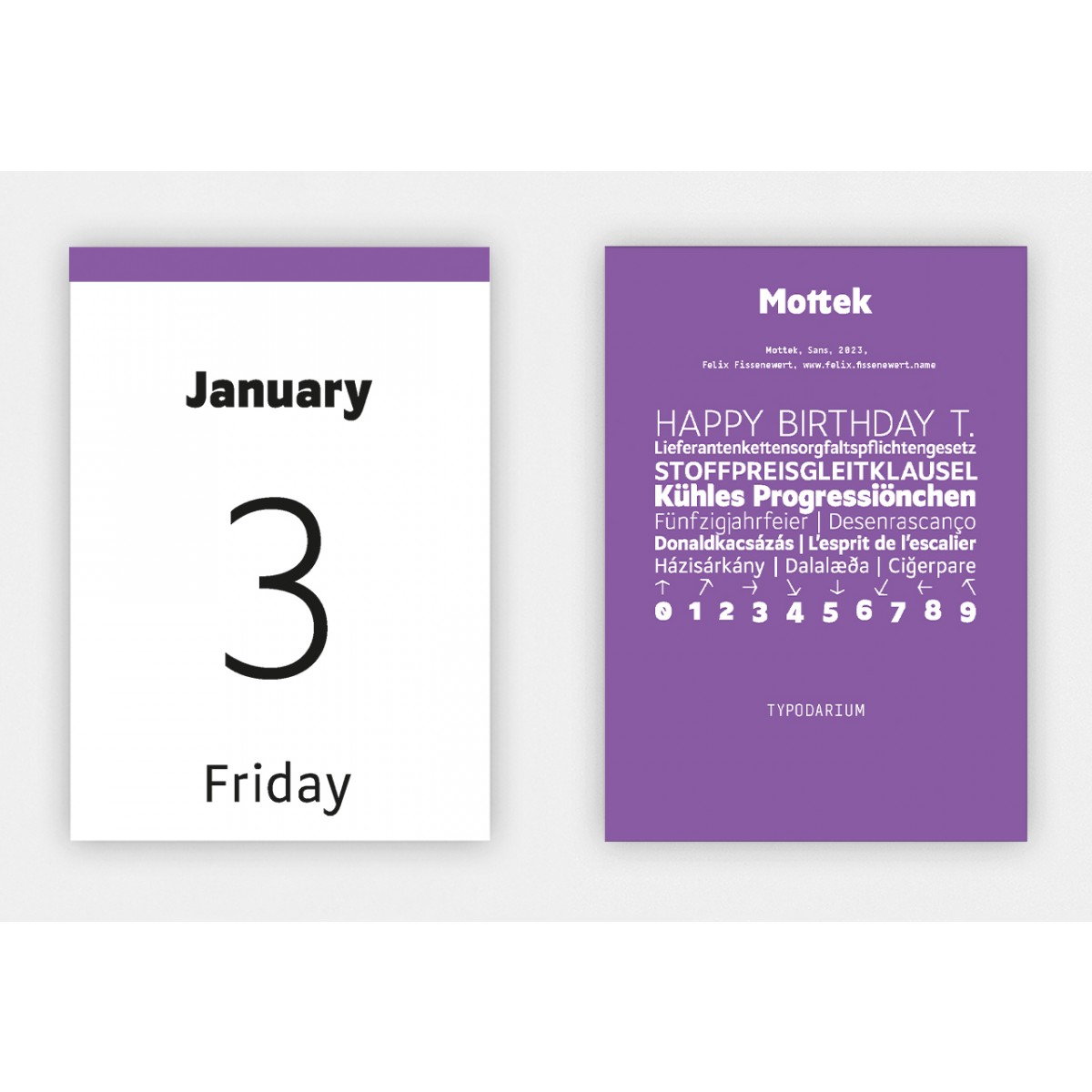 Typodarium 2025 (Abreißkalender mit 365 frischen Fonts)