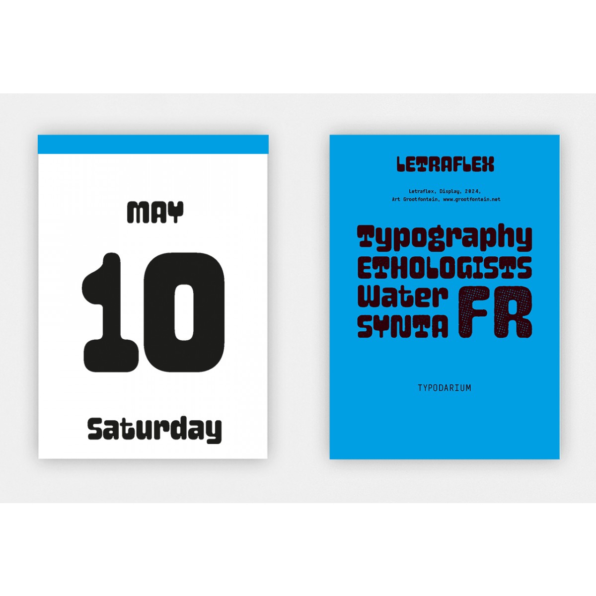 Typodarium 2025 (Abreißkalender mit 365 frischen Fonts)