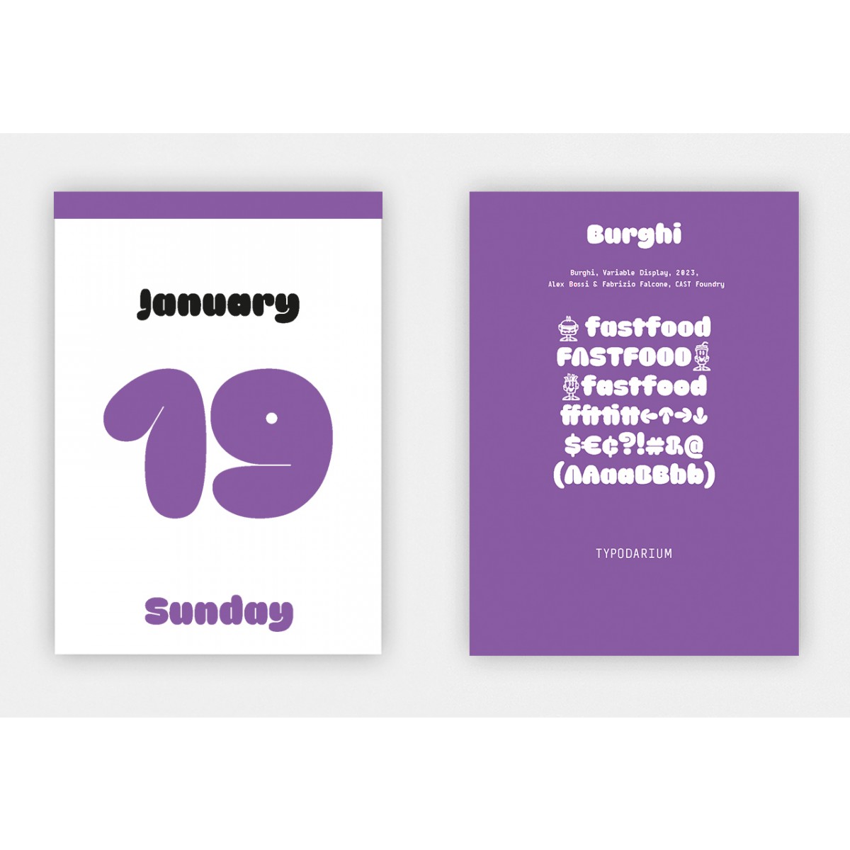 Typodarium 2025 (Abreißkalender mit 365 frischen Fonts)