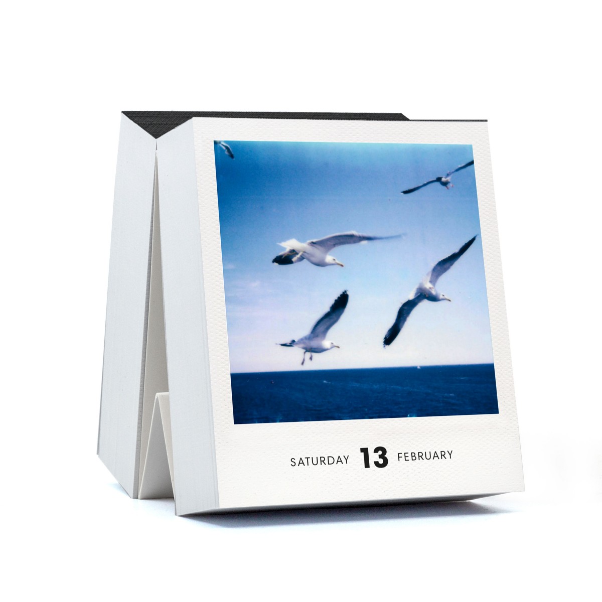 Photodarium 2027
Polaroid-Tischkalender