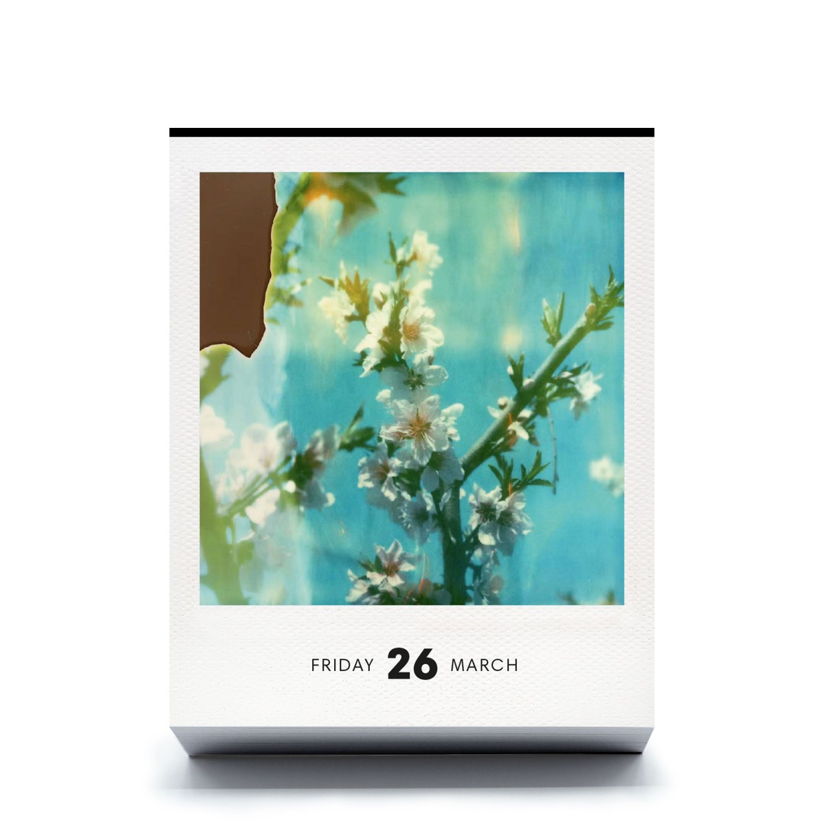 Photodarium 2027
Polaroid-Tischkalender