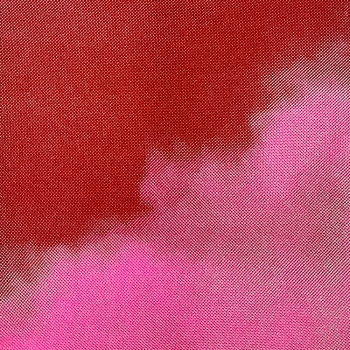 TWO TONE PT.2 | RISOPRINT | A3