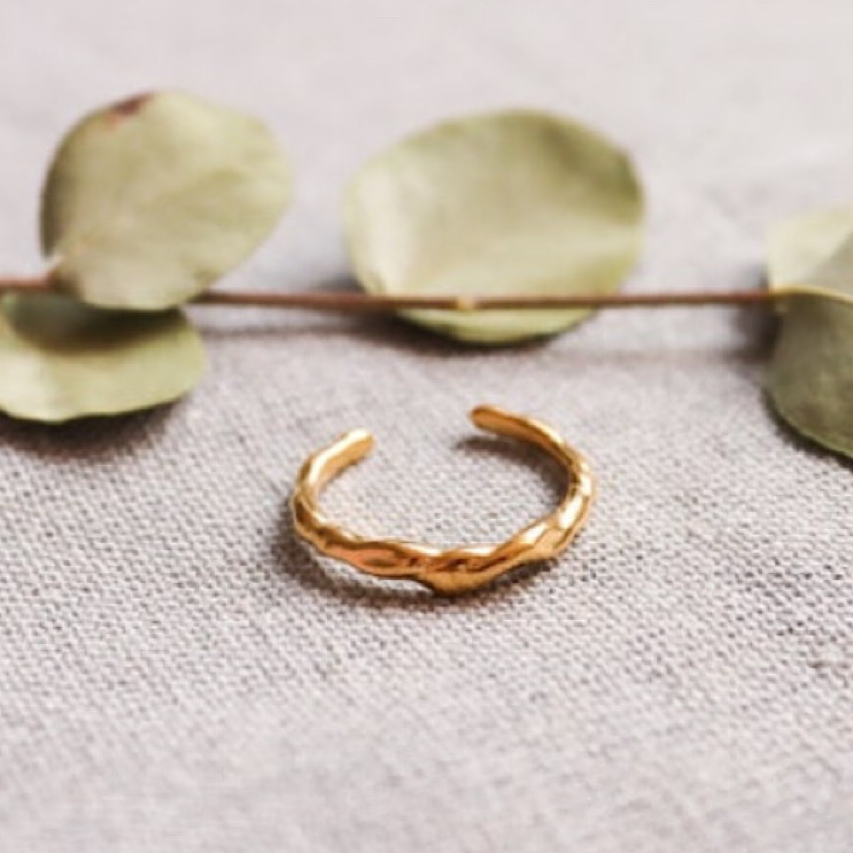 Anoa Ring gedreht twisted in Gold