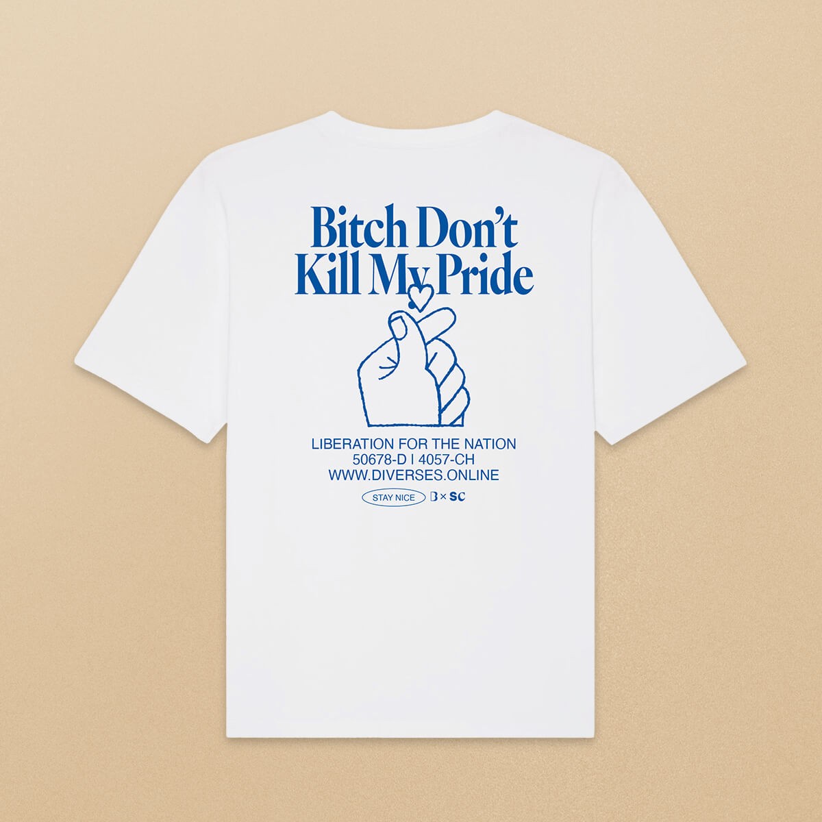 "Bitch Don’t Kill My Pride" T-Shirt (oversized, unisex) – DIVERSES