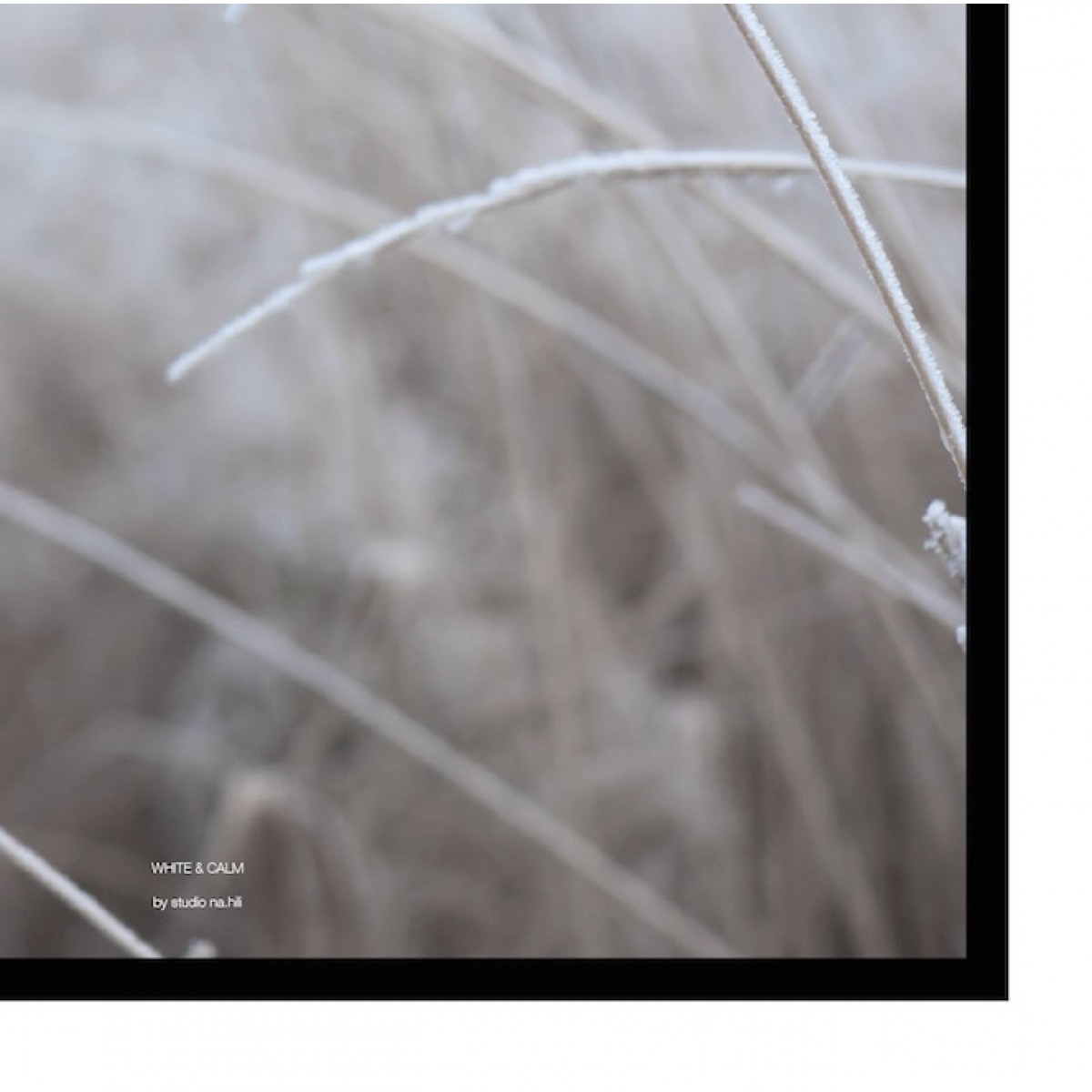 nahili white & calm Artprint - A3, A1 or 50x70  - Poster Gräser 