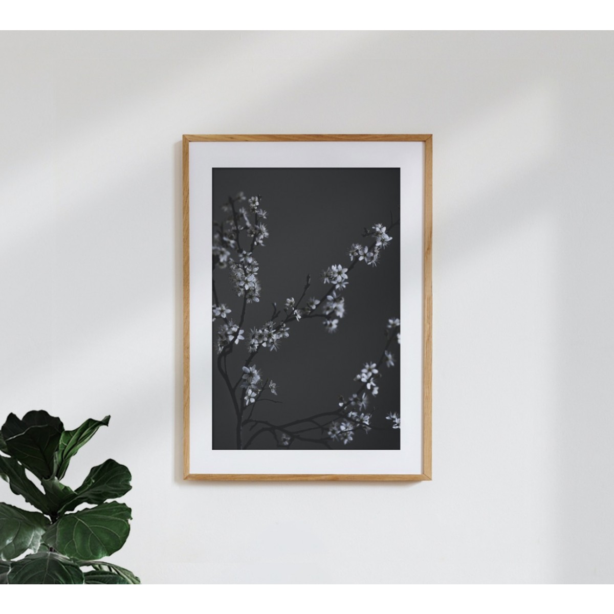 nahili ARTPRINT / POSTER "moody flower BEAUTY" schwarzer Kirsch-Blüten Druck (DIN A1/A3 & 50x70cm) Fotografie