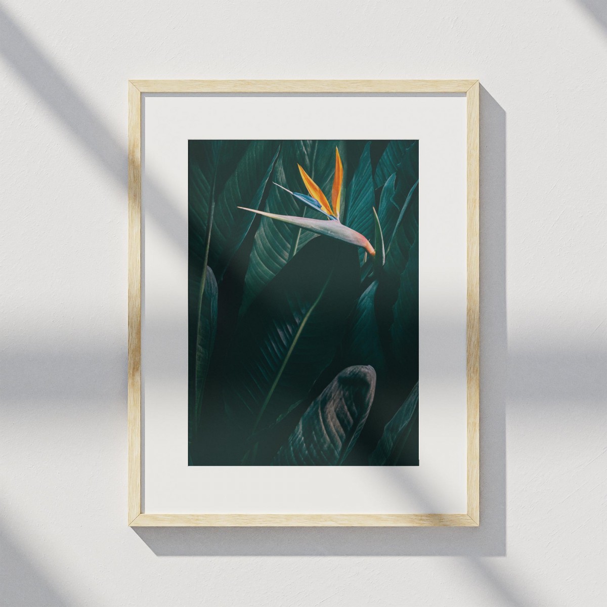 Amy & Kurt Berlin A4 Artprint "Bird of paradise"