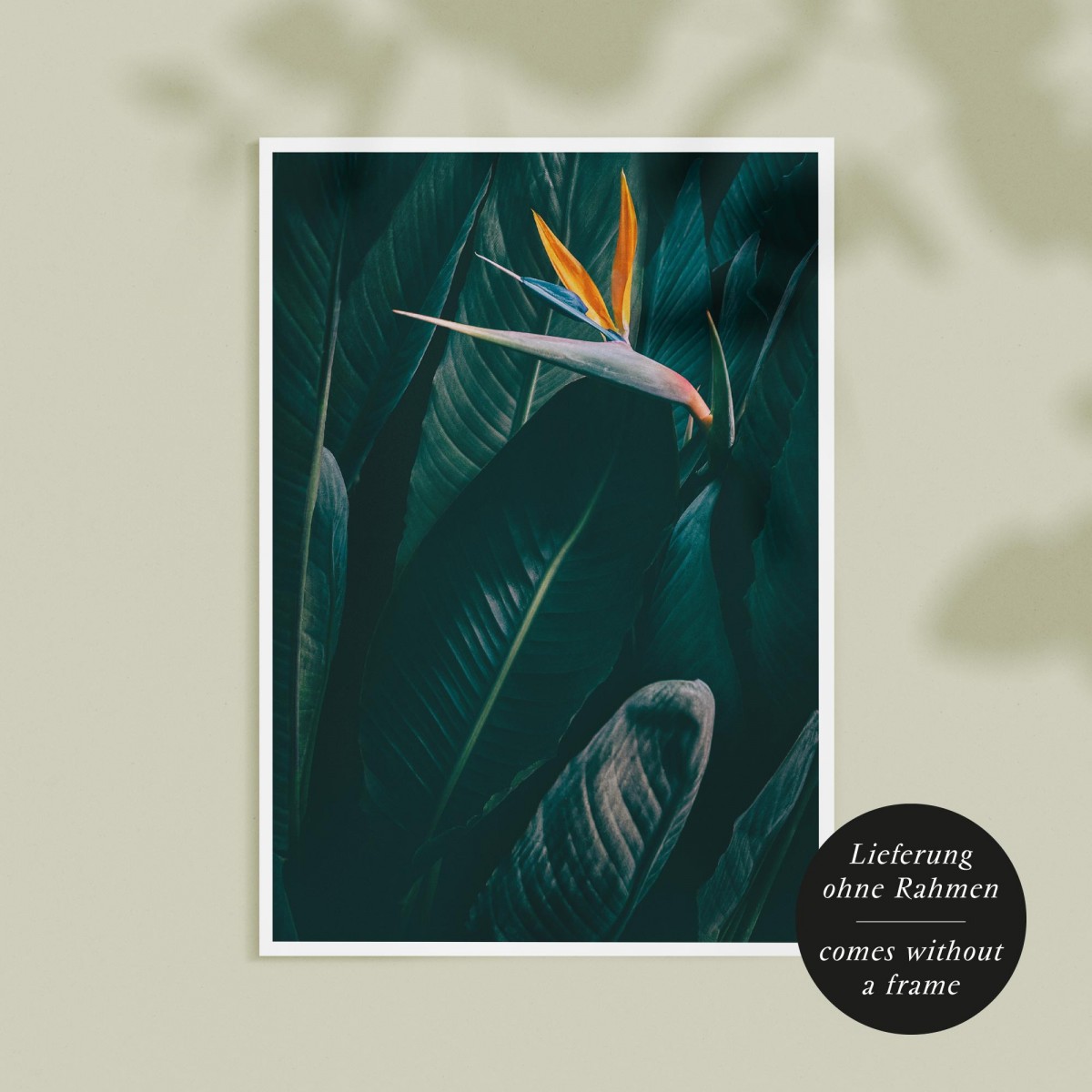 Amy & Kurt Berlin A4 Artprint "Bird of paradise"