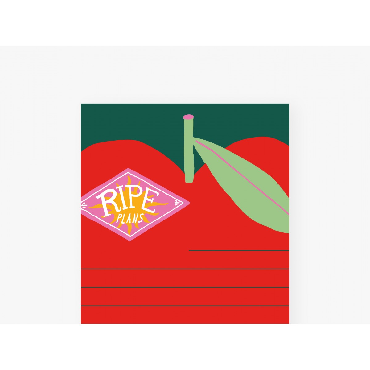 Notizblock "schmal", 3er Set / Ripe Plans