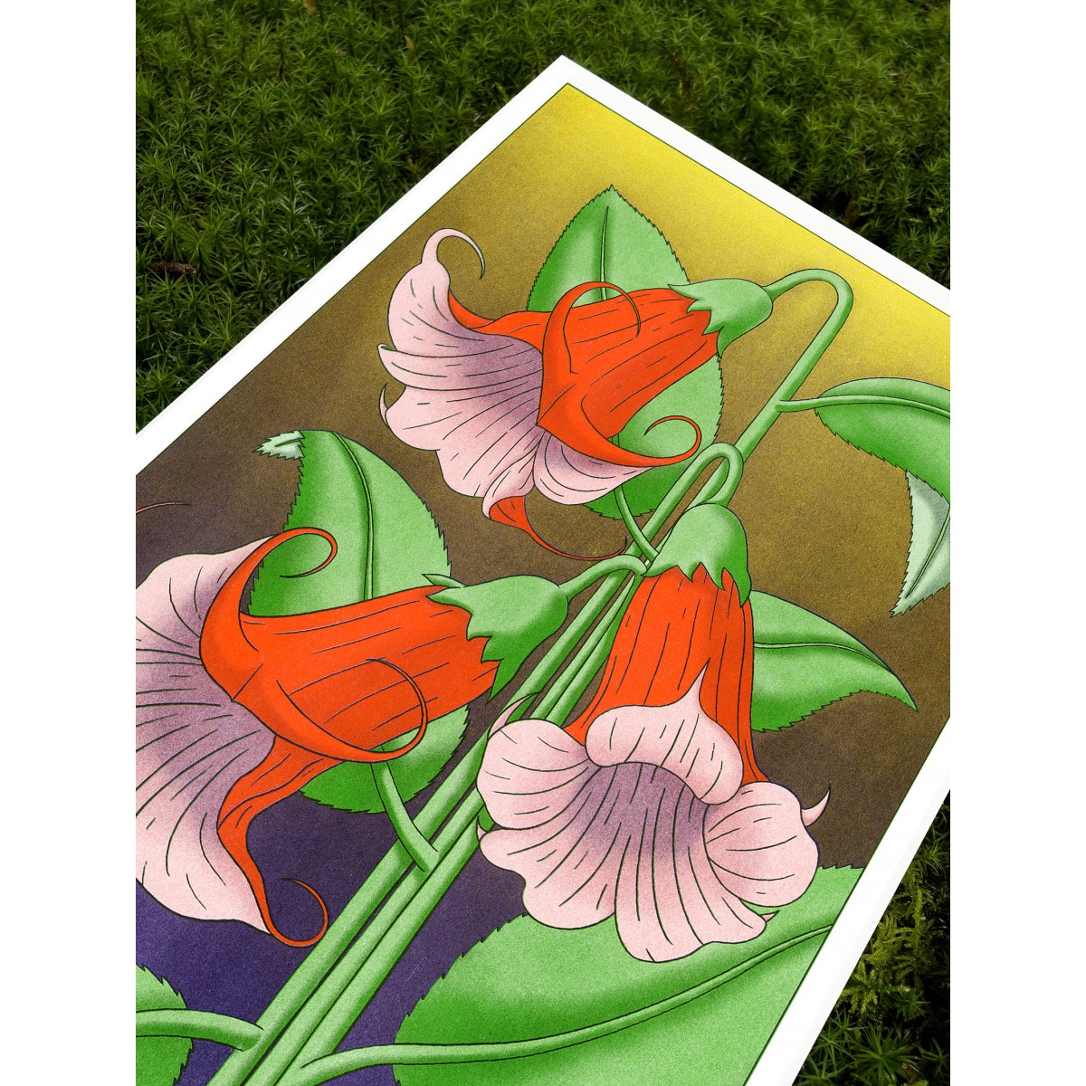 The Naughty District - handgefertigter Risographie Print »Brugmansia«