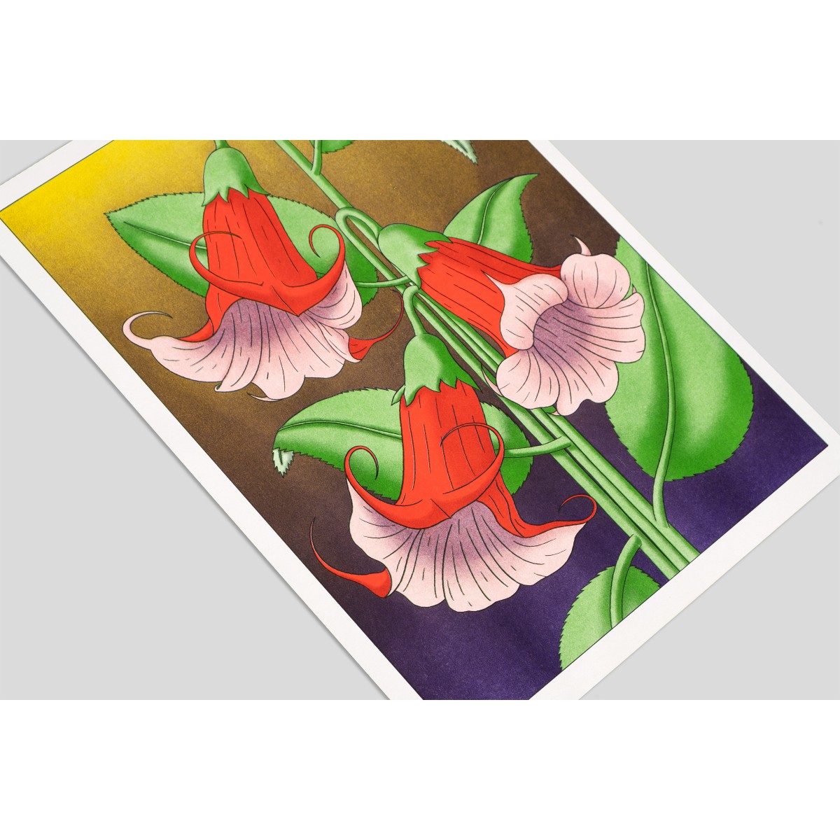 The Naughty District - handgefertigter Risographie Print »Brugmansia«