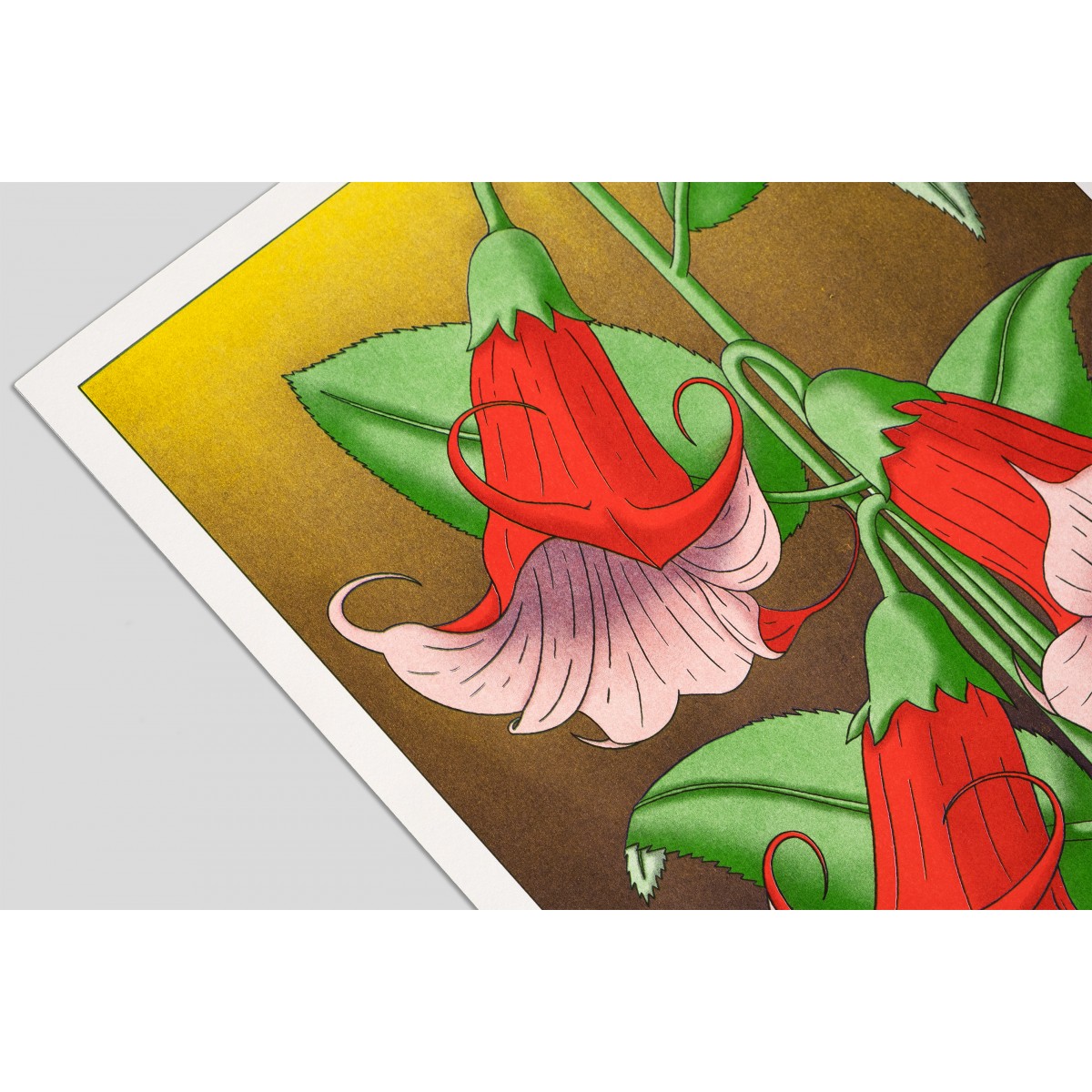 The Naughty District - handgefertigter Risographie Print »Brugmansia«