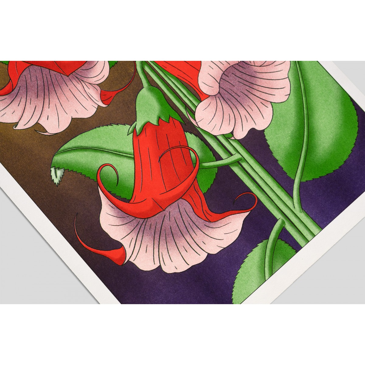 The Naughty District - handgefertigter Risographie Print »Brugmansia«