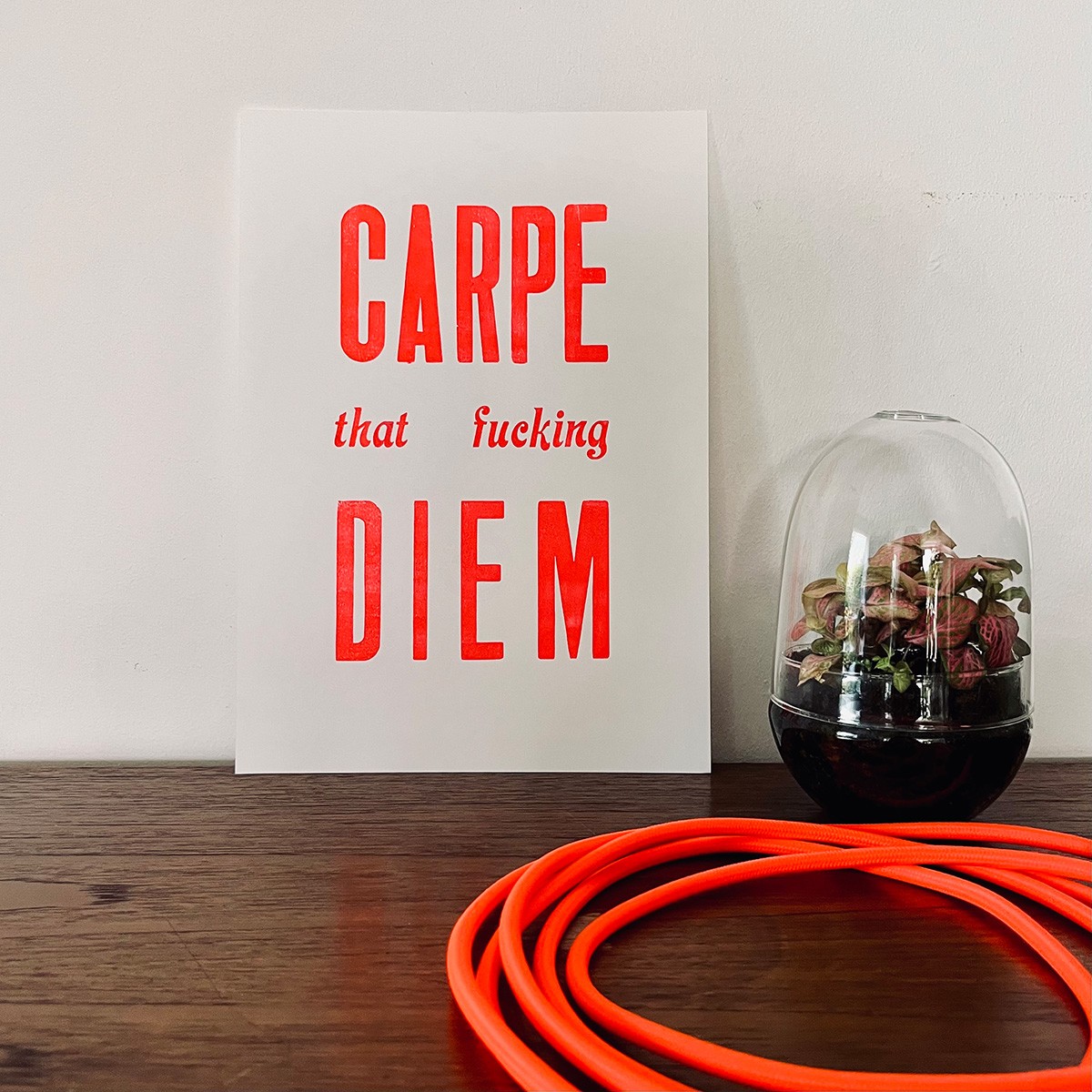 CARPE that fucking DIEM Letterpress von papelami