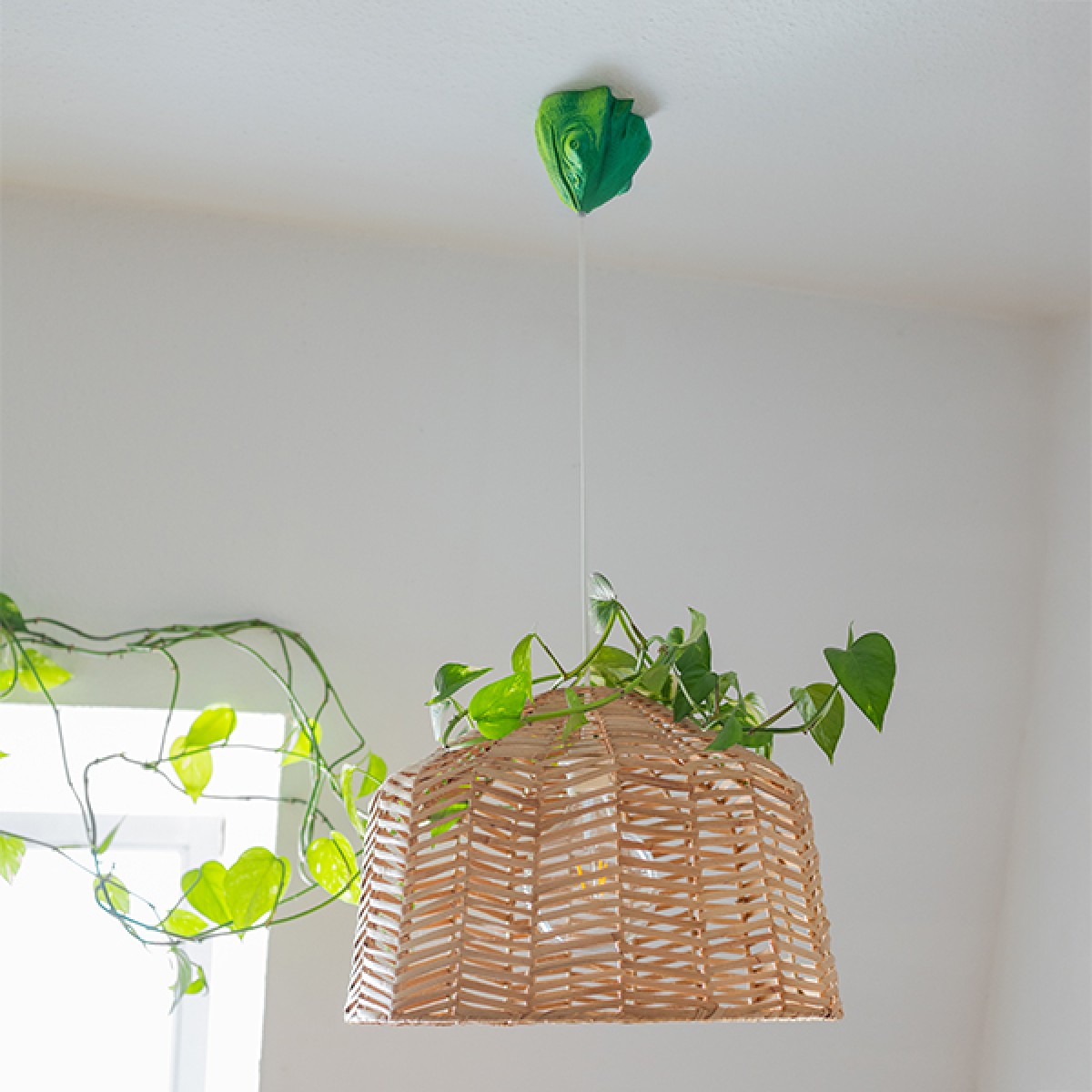 canopie® - Lampenbaldachin - Chamäleon Duo Gelb-Grün