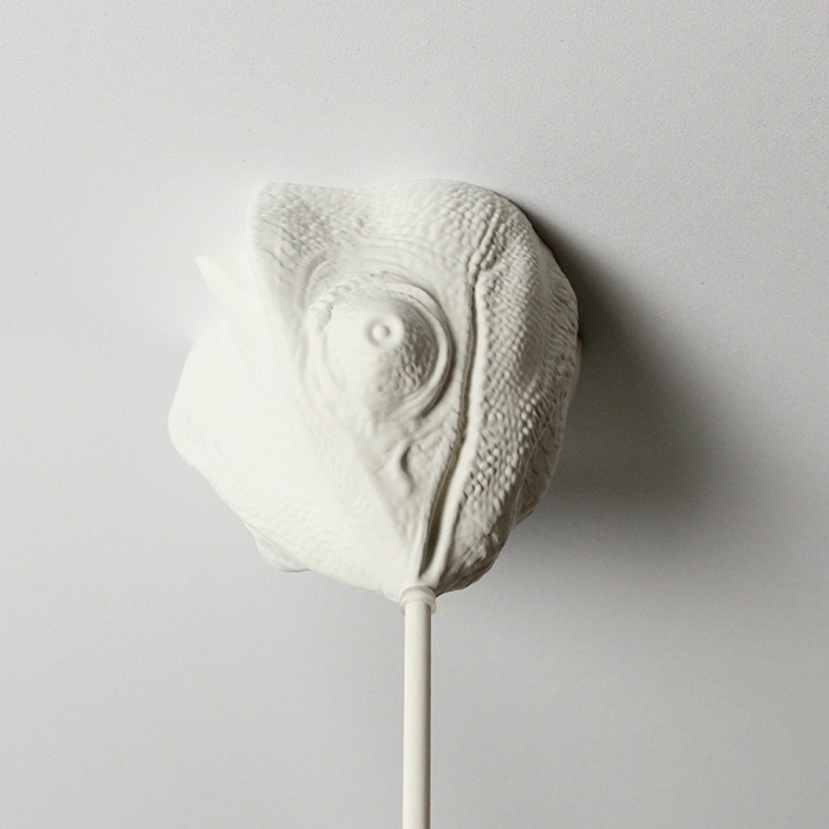 canopie® - Lampenbaldachin - Chamäleon Gipsweiß