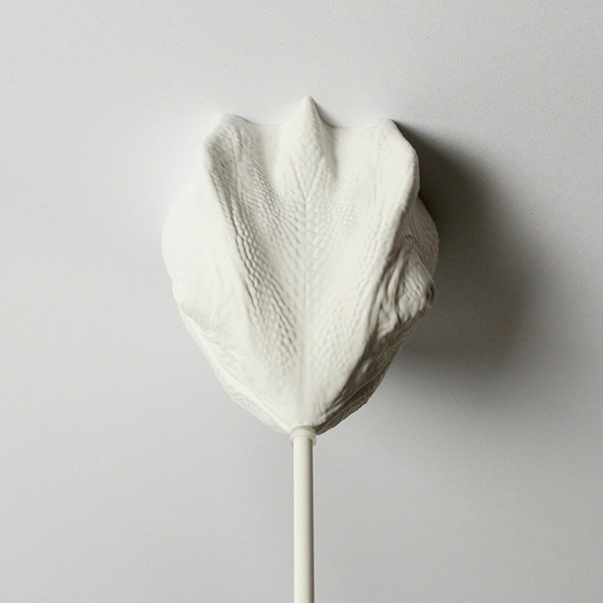 canopie® - Lampenbaldachin - Chamäleon Gipsweiß