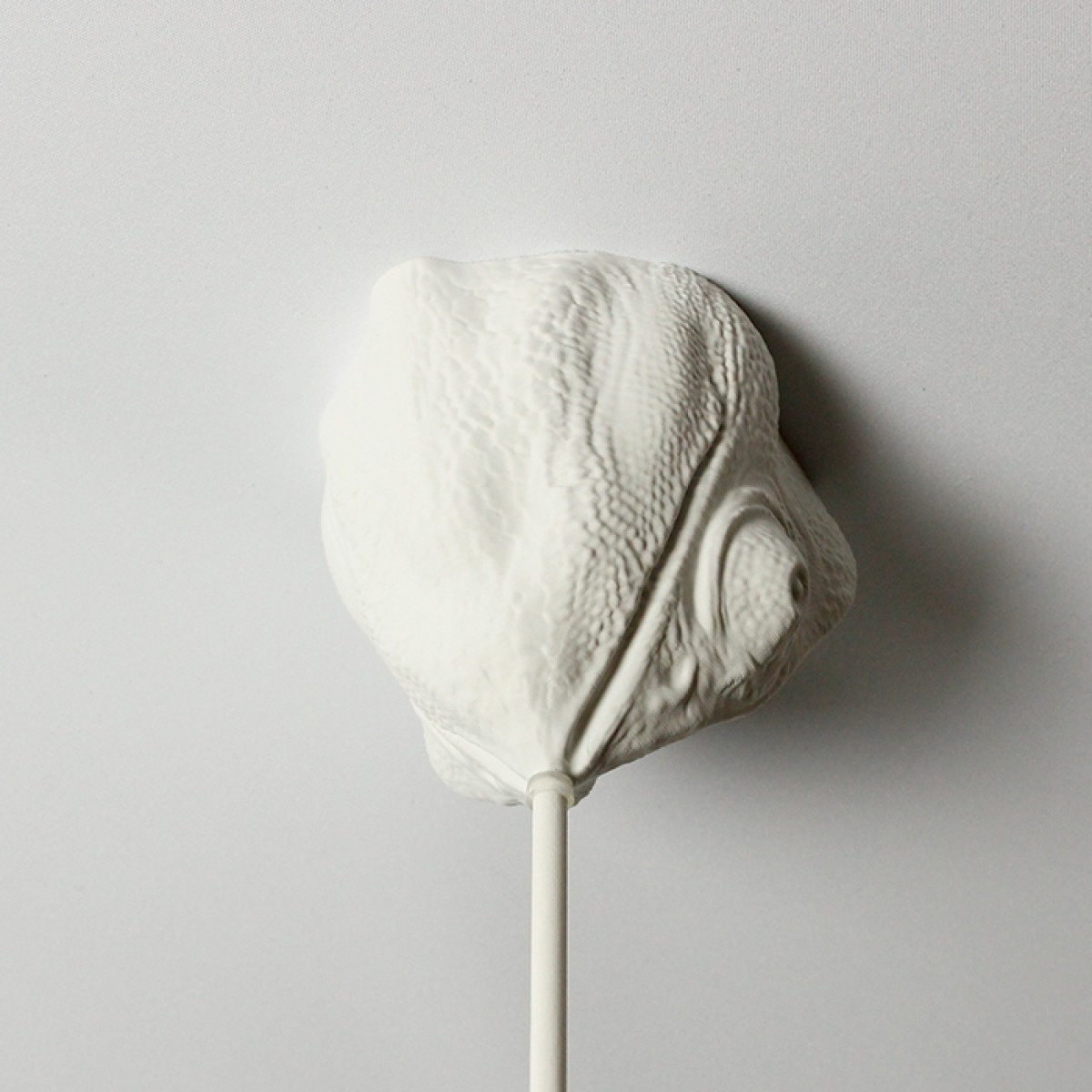 canopie® - Lampenbaldachin - Chamäleon Gipsweiß