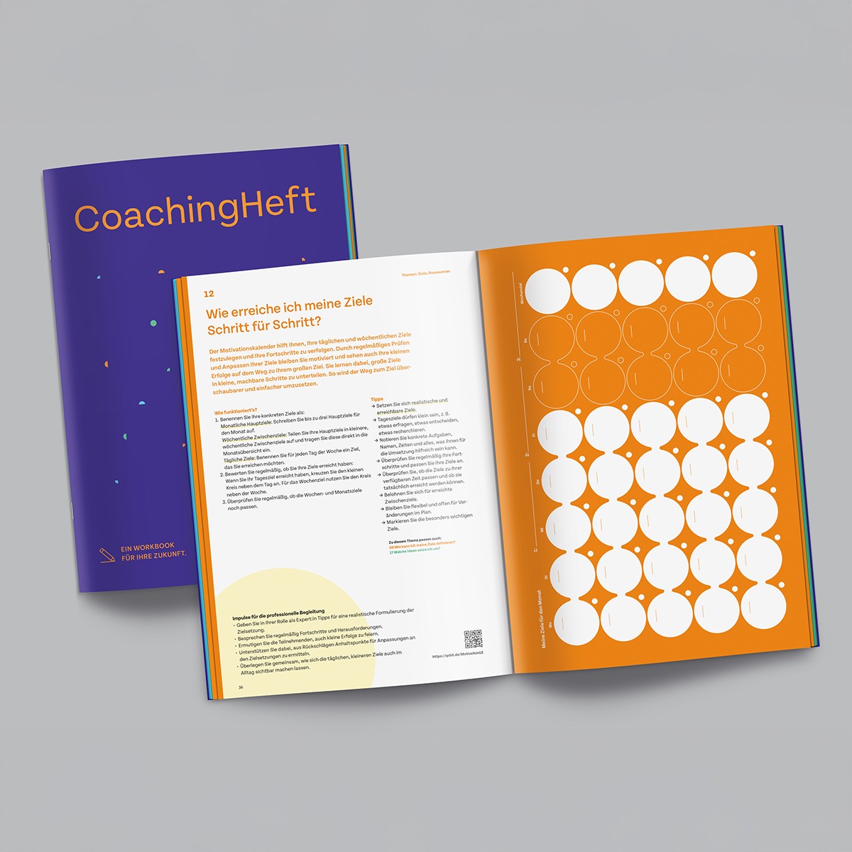 CoachingHeft (Workbook für berufliche Erst- oder Neuorientierung)
