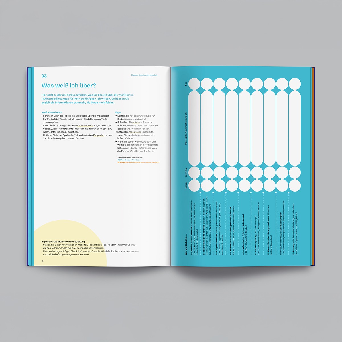 CoachingHeft (Work-Book für berufliche Erst- oder Neuorientierung)
