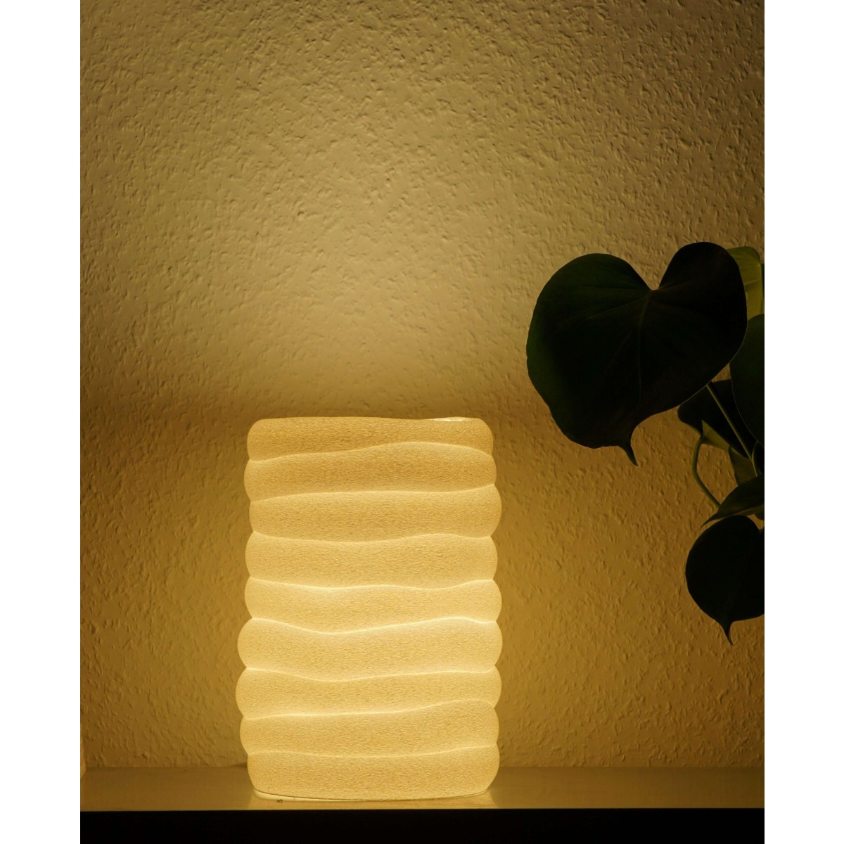 DS-L05