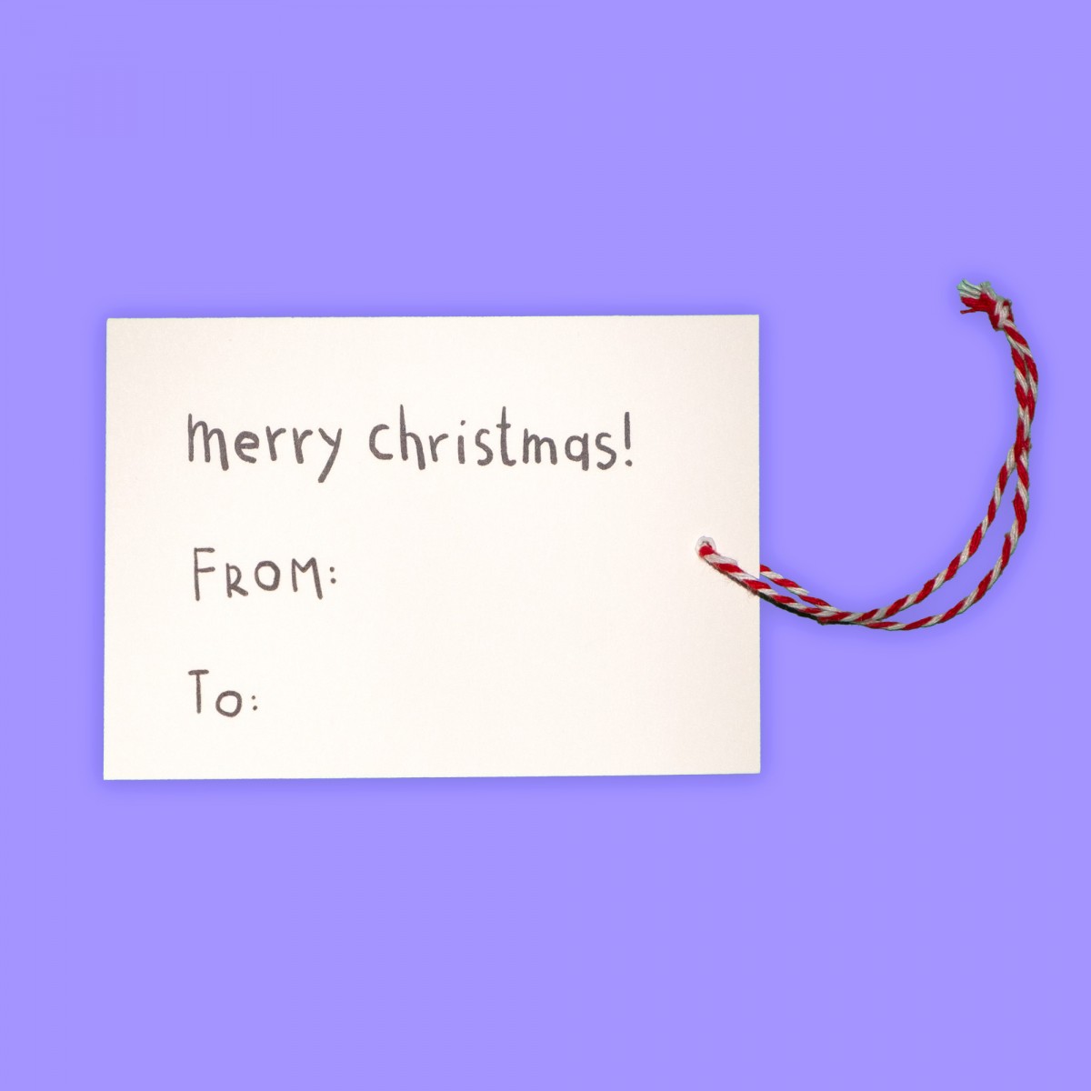 The Naughty District - »Geschenkanhänger mit Dinos und Tieren für Weihnachtsgeschenke«