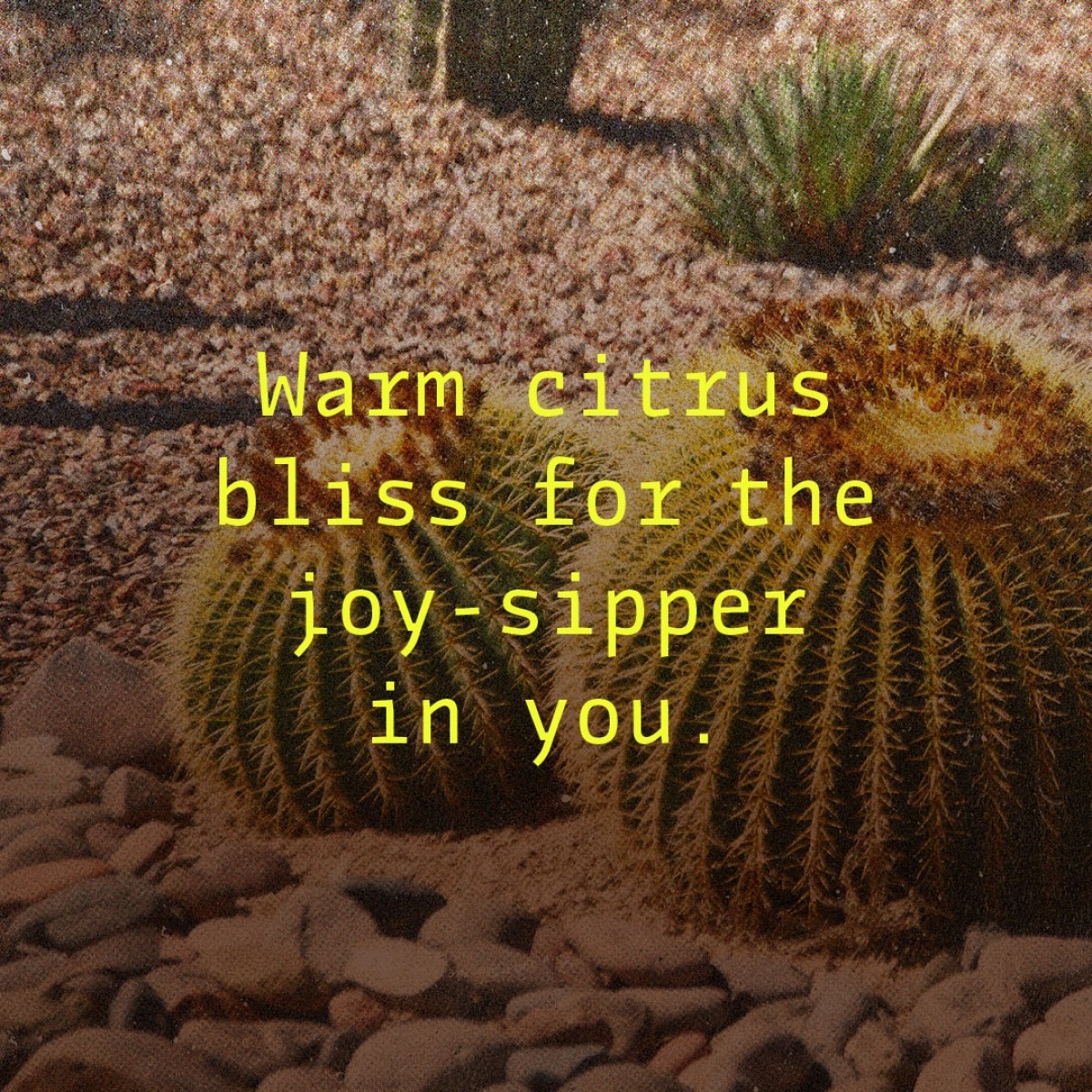 Liquid Picnic by EUKIDIEN Body Oil · JANT JUBILEE · 100ml ·


"WARNING: May cause spontaneous dancing."