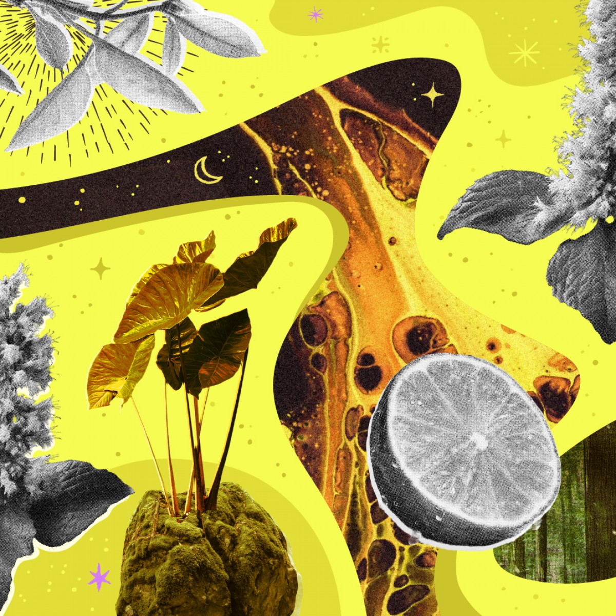 Liquid Picnic by EUKIDIEN
Body Oil · FOREST AFFAIR · 100ml  · 

"Nature’s got a crush on you."