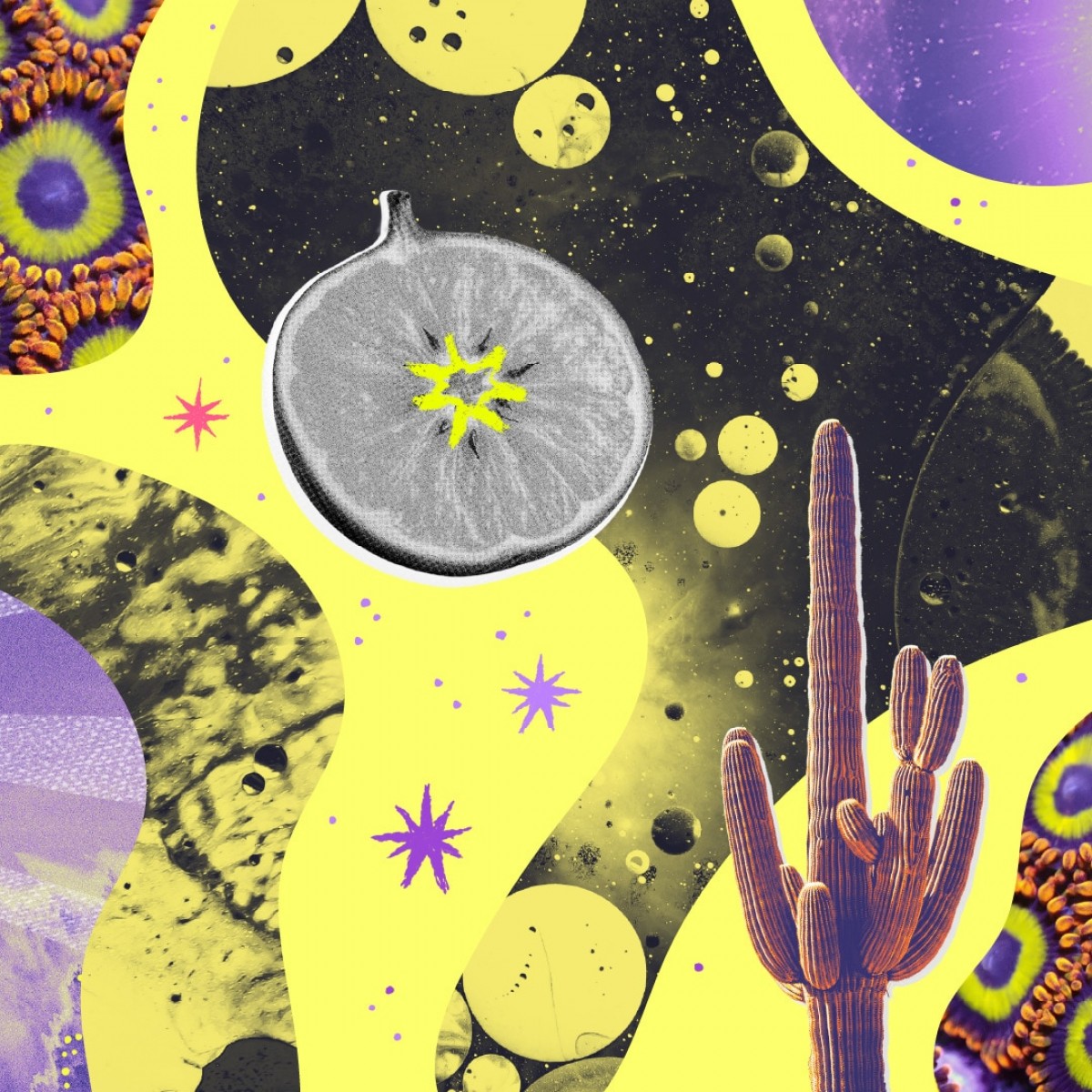 EUKIDIEN · THE LIQUID PICNIC CIRCLE OF CARE ·
"Three moods. One flow. Your skin, your senses, your story."