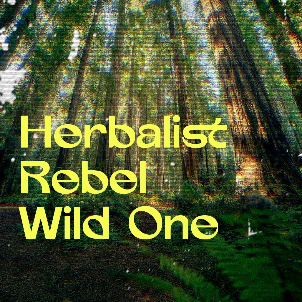 Liquid Picnic by EUKIDIEN
Body Oil · FOREST AFFAIR · 100ml  · 

"Nature’s got a crush on you."