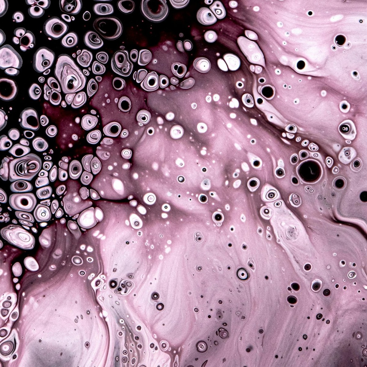 Liquid Picnic by EUKIDIEN Facial Oil · OIL OF NOONIGHT · 30ml · "Not just a routine. A return."